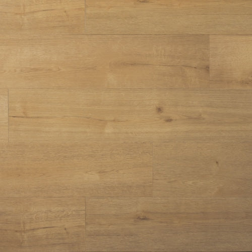 Douwes Dekker - PVC klik SPC plank kletskop