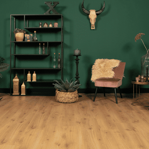 Douwes Dekker - Sympathiek Brede plank Peterselie