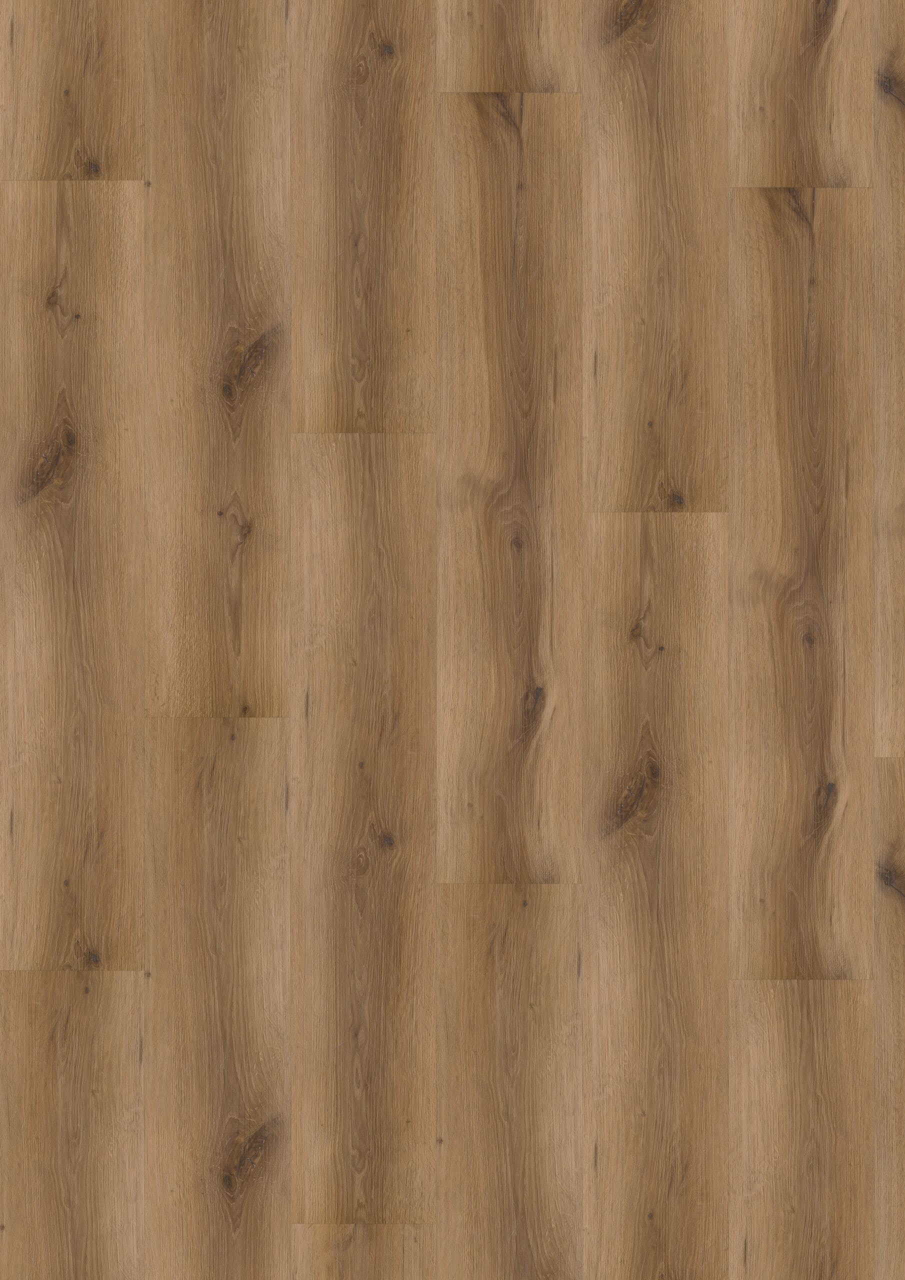 Vivafloors - Eiken 5002 Click PVC