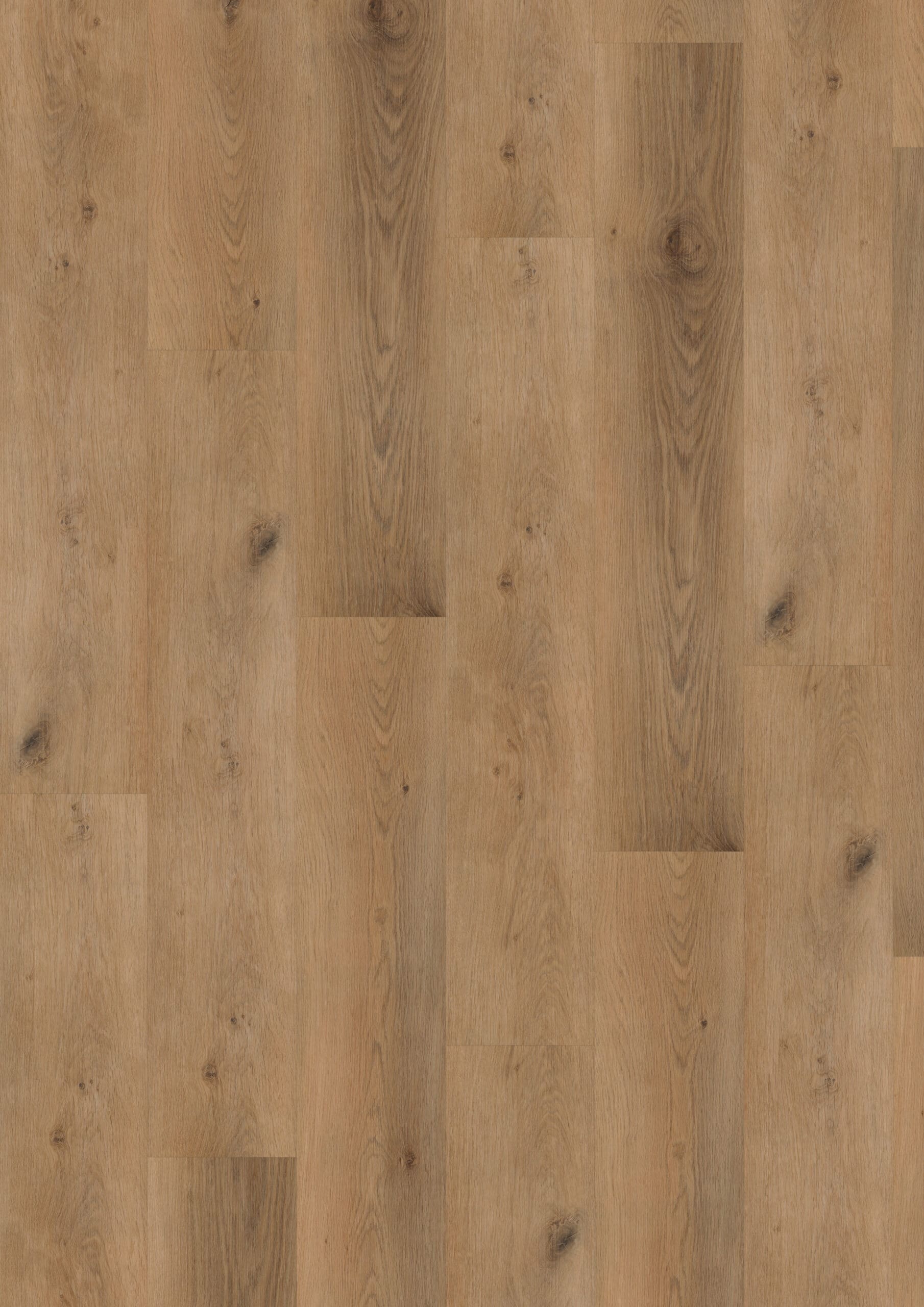 Vivafloors - Eiken 5003 Click PVC