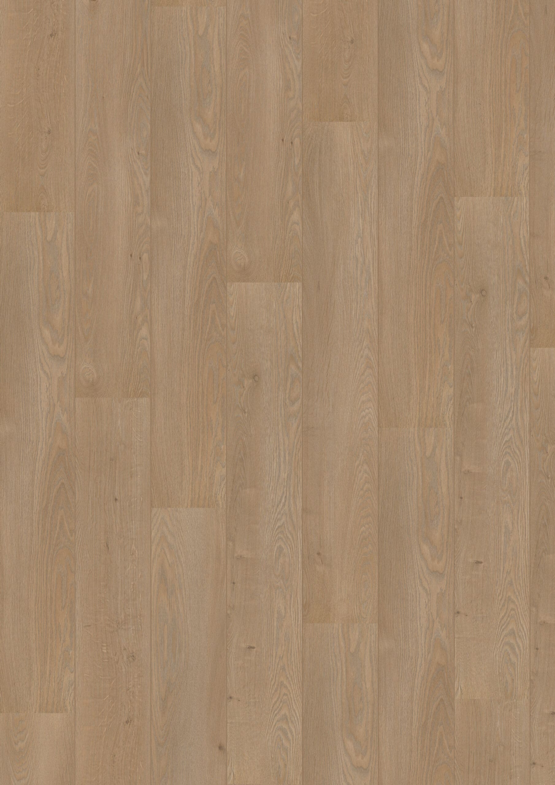 Hoomline - Royal V2 Aquaprotect Lombardije 4939