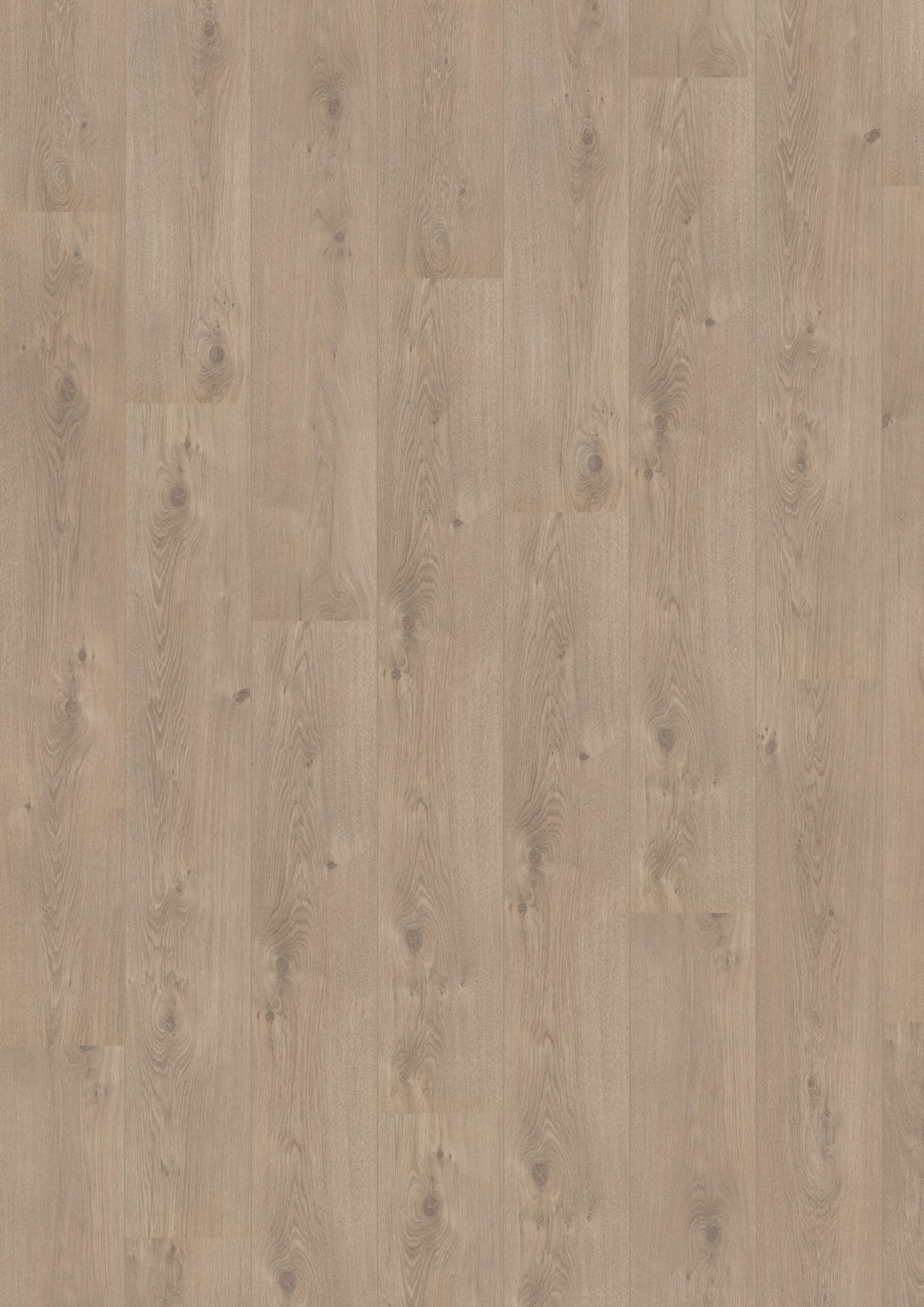 Hoomline - Royal V2 Aquaprotect Puglia 4941