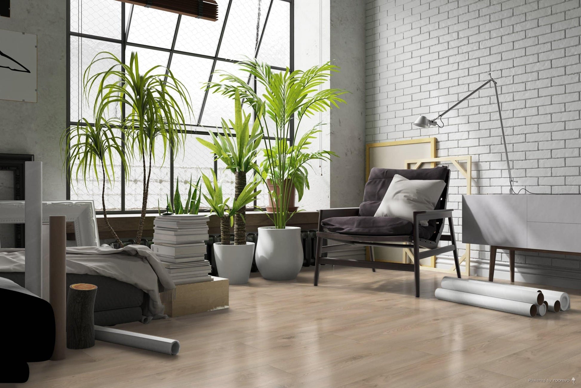 Hoomline - Royal V2 Campania 521067