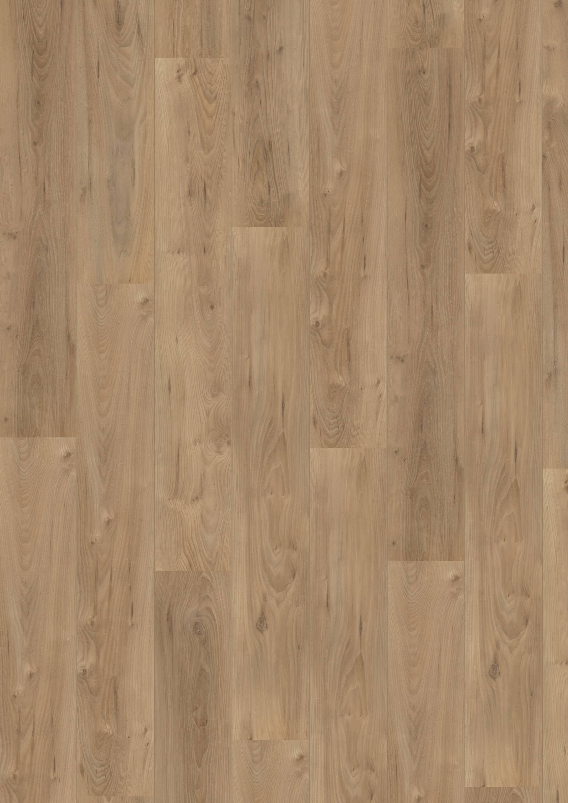 Hoomline - Royal V2 Lazio 167551