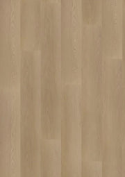 Hoomline - Ambassador Dryback Georgia 6