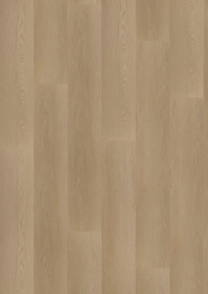 Hoomline - Ambassador Dryback Georgia 6