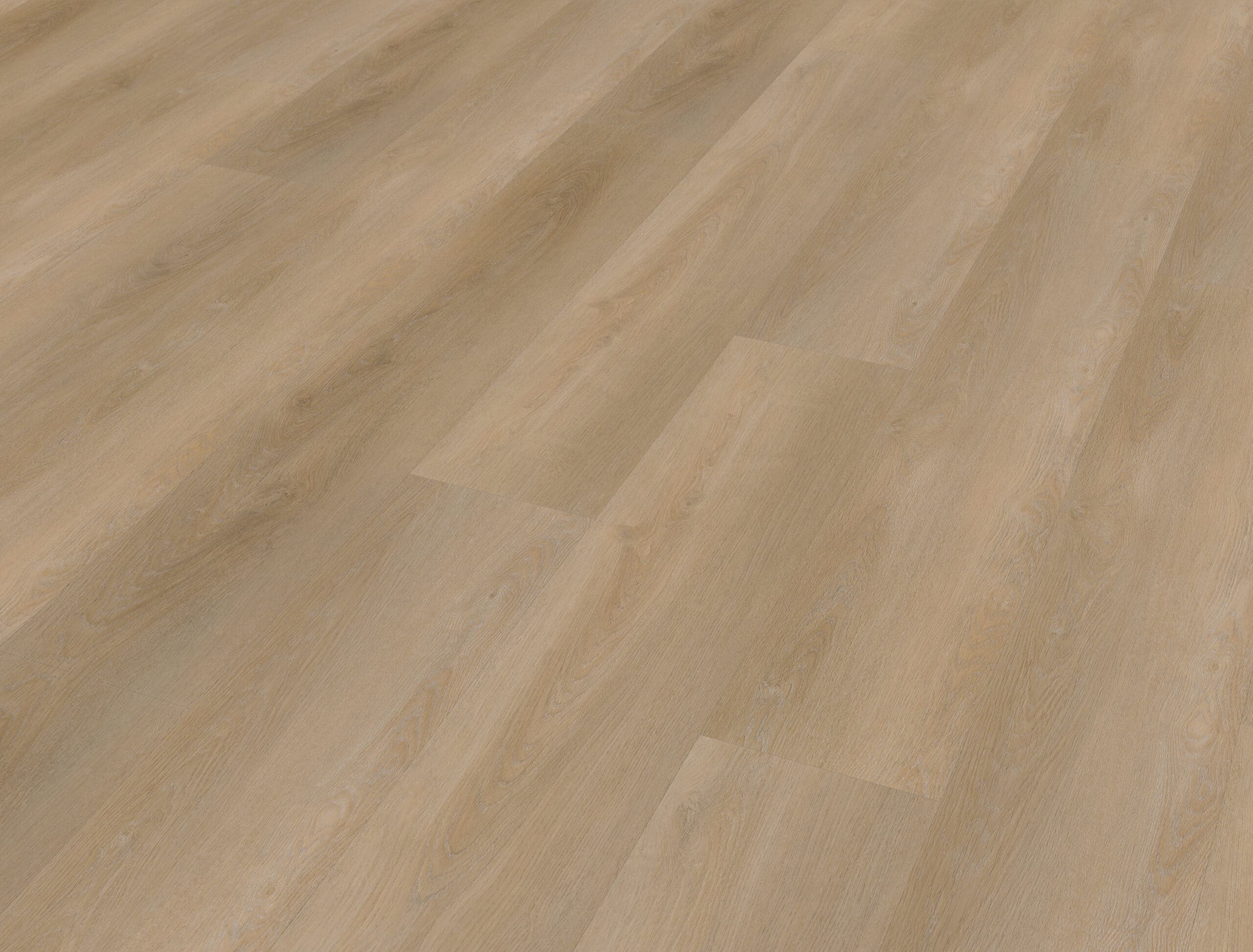 Belakos - Attico 810