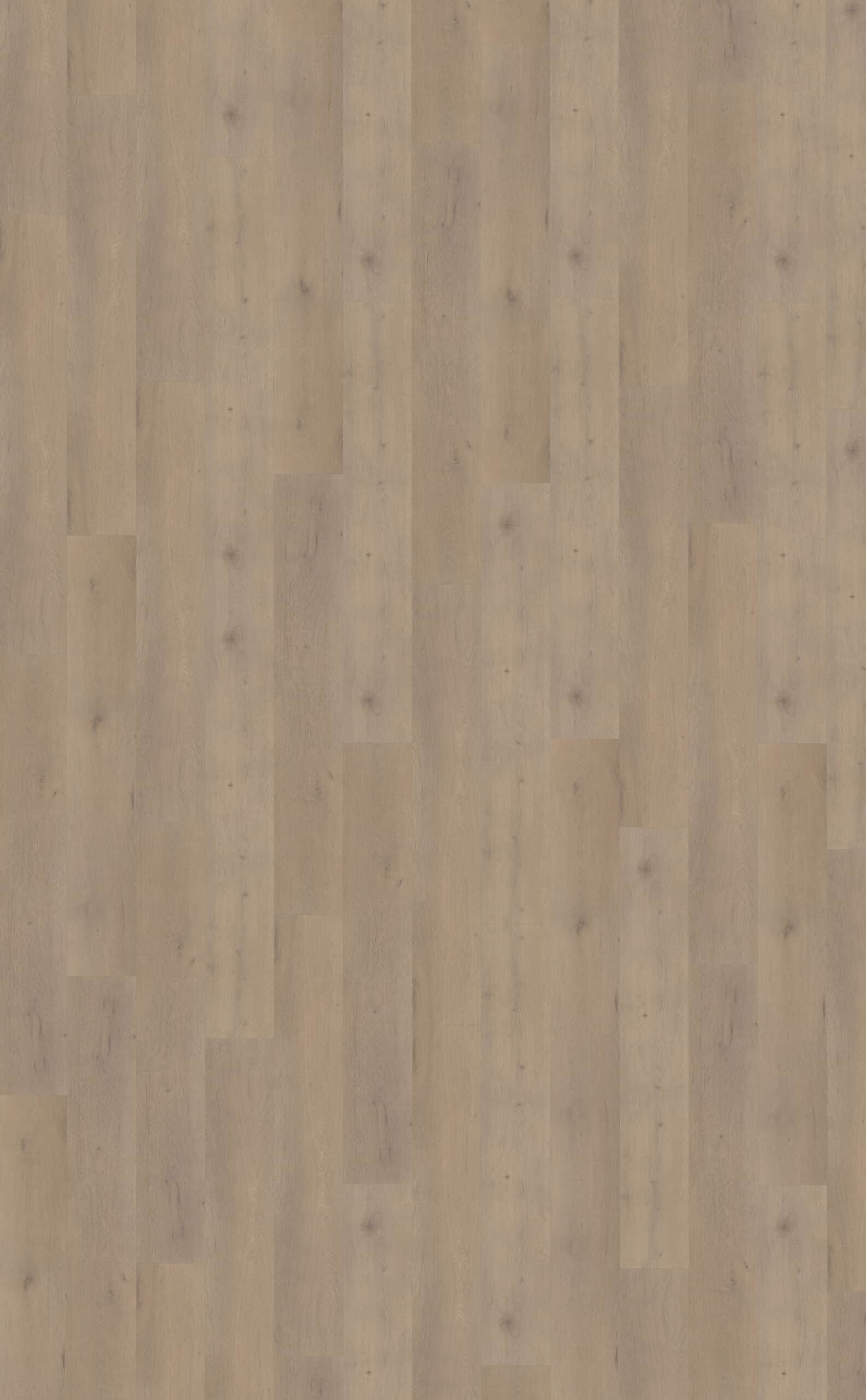 Belakos - Attico 820