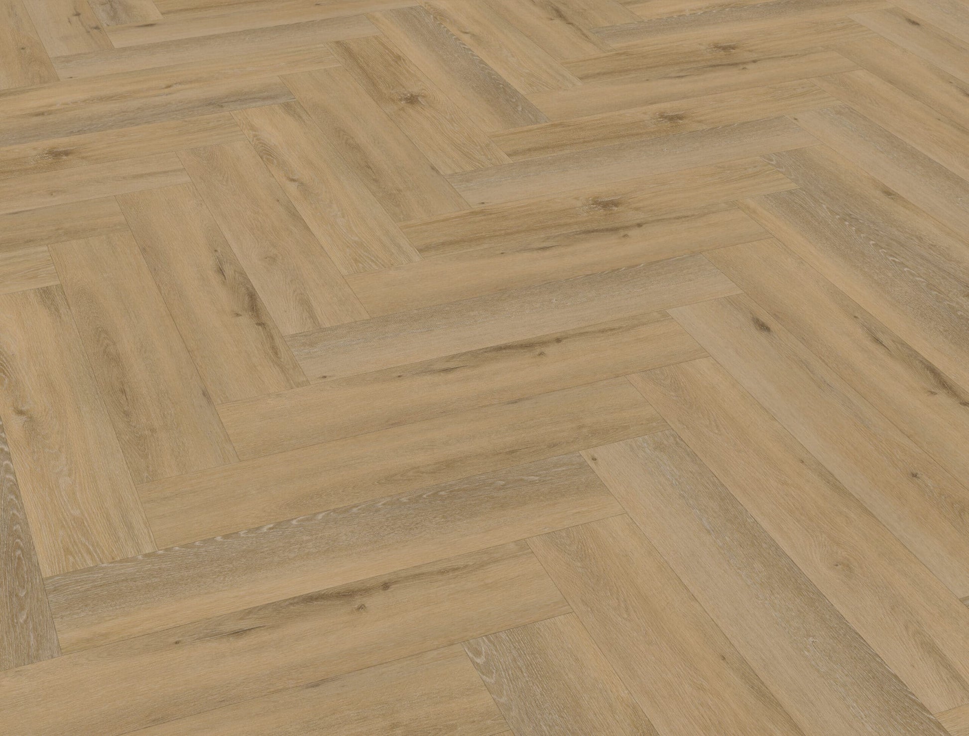 Belakos - Attico visgraat XL 80