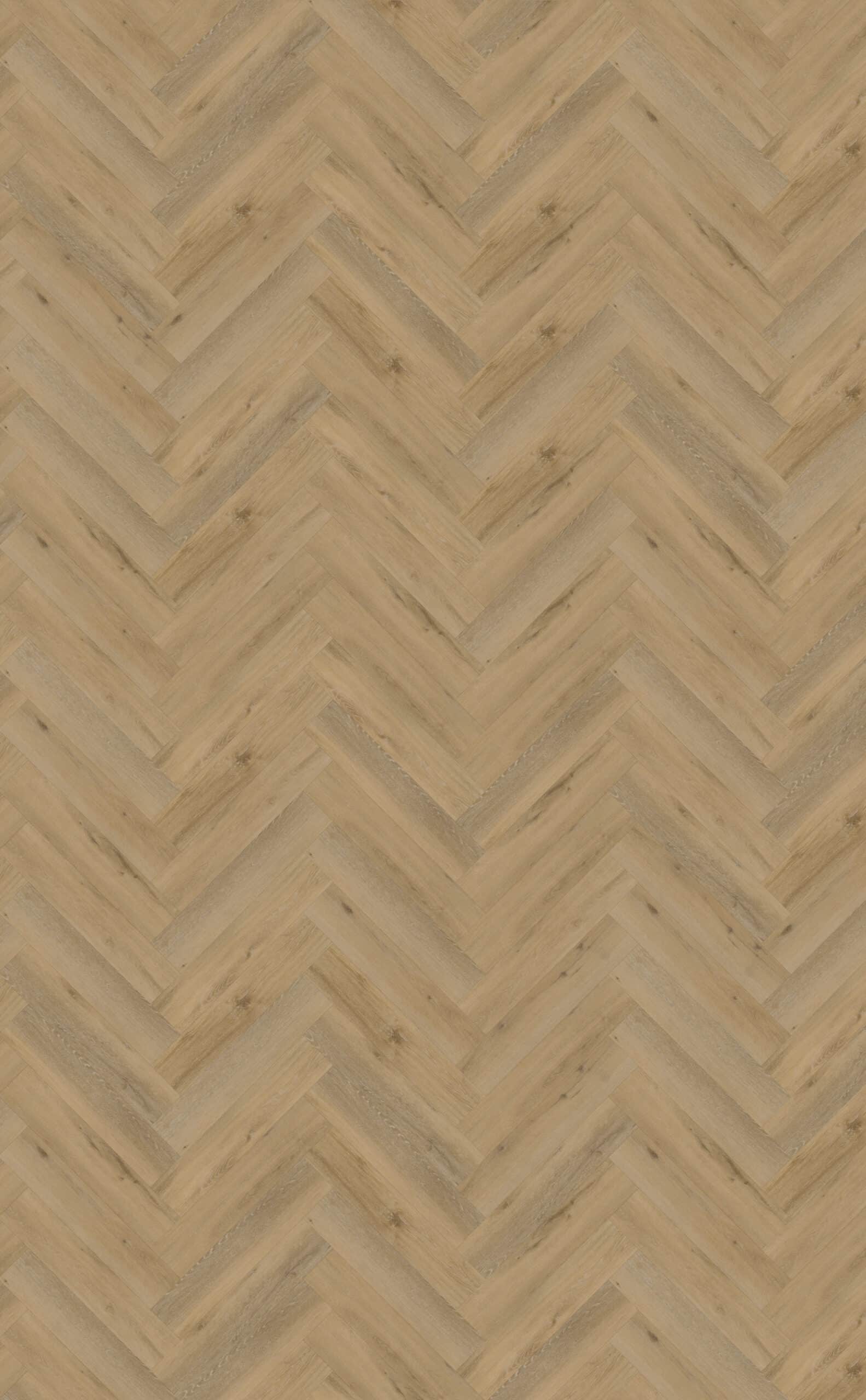 Belakos - Attico visgraat XL 80