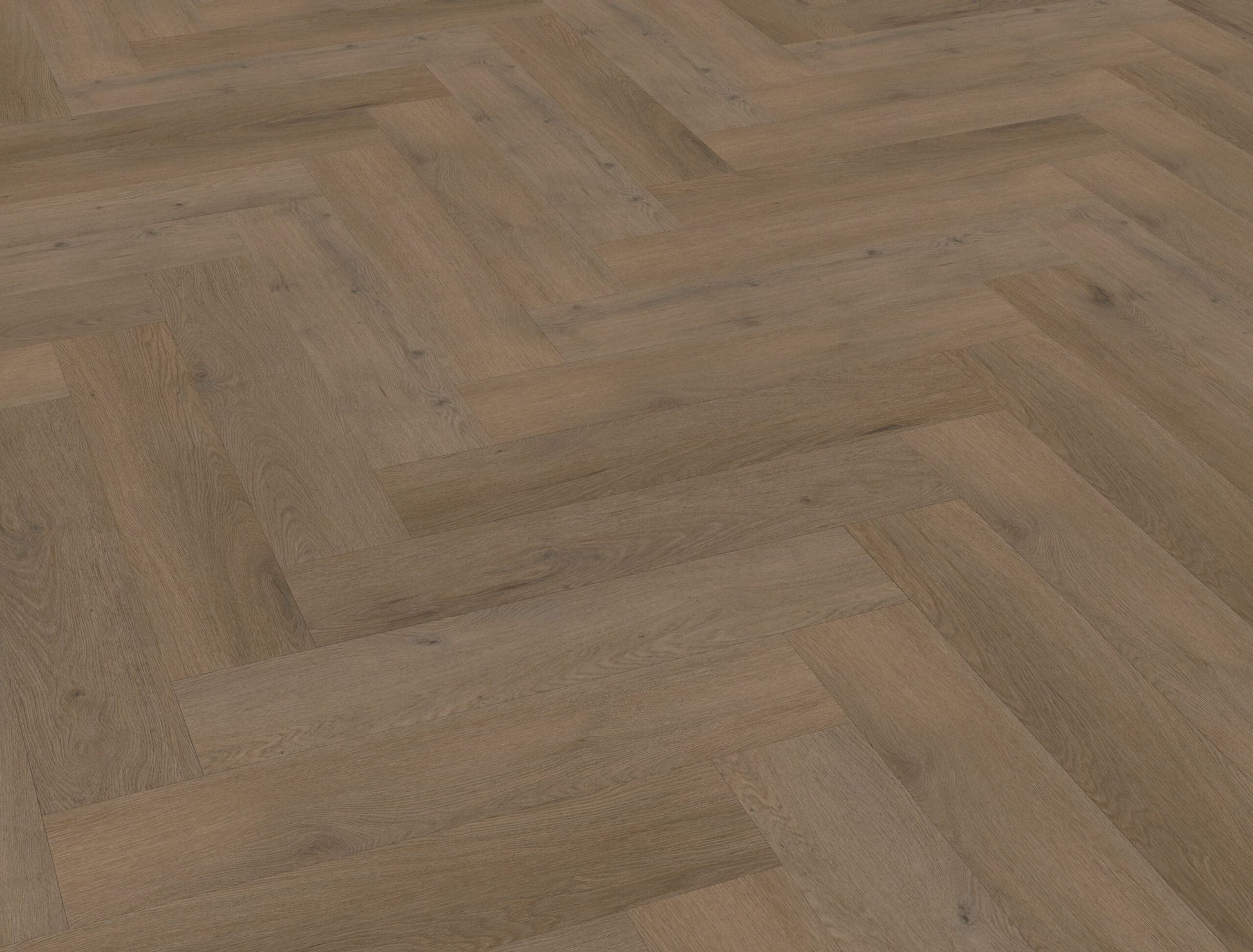 Belakos - Attico visgraat XL 84