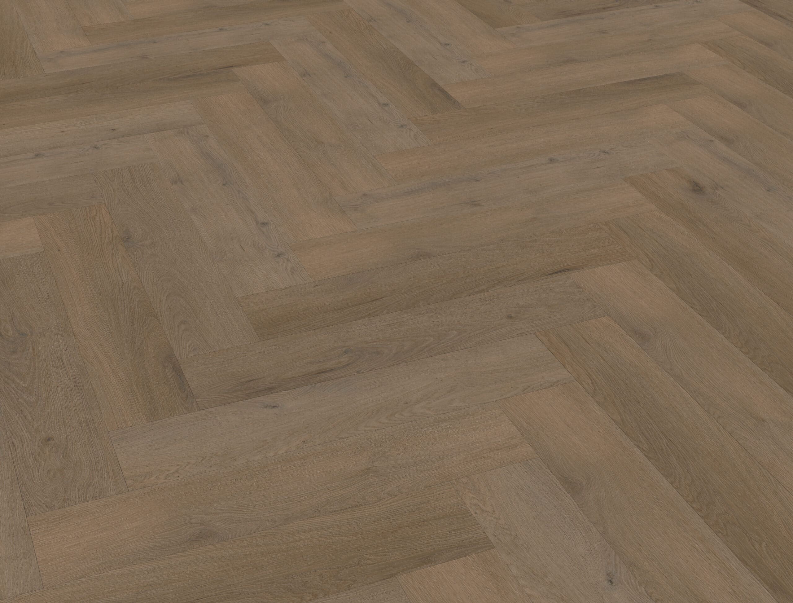 Belakos - Attico visgraat XL 84