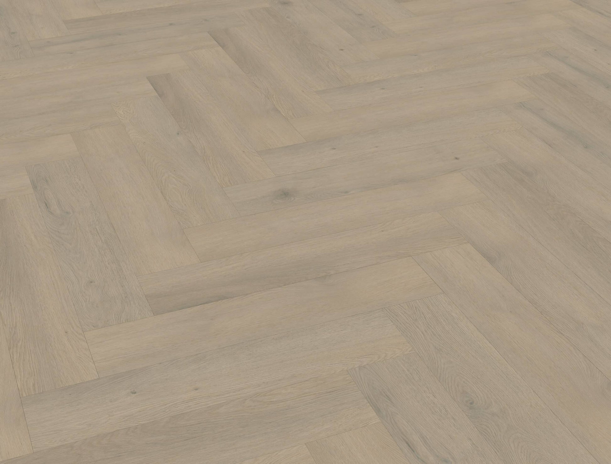 Belakos - Attico visgraat XL 85