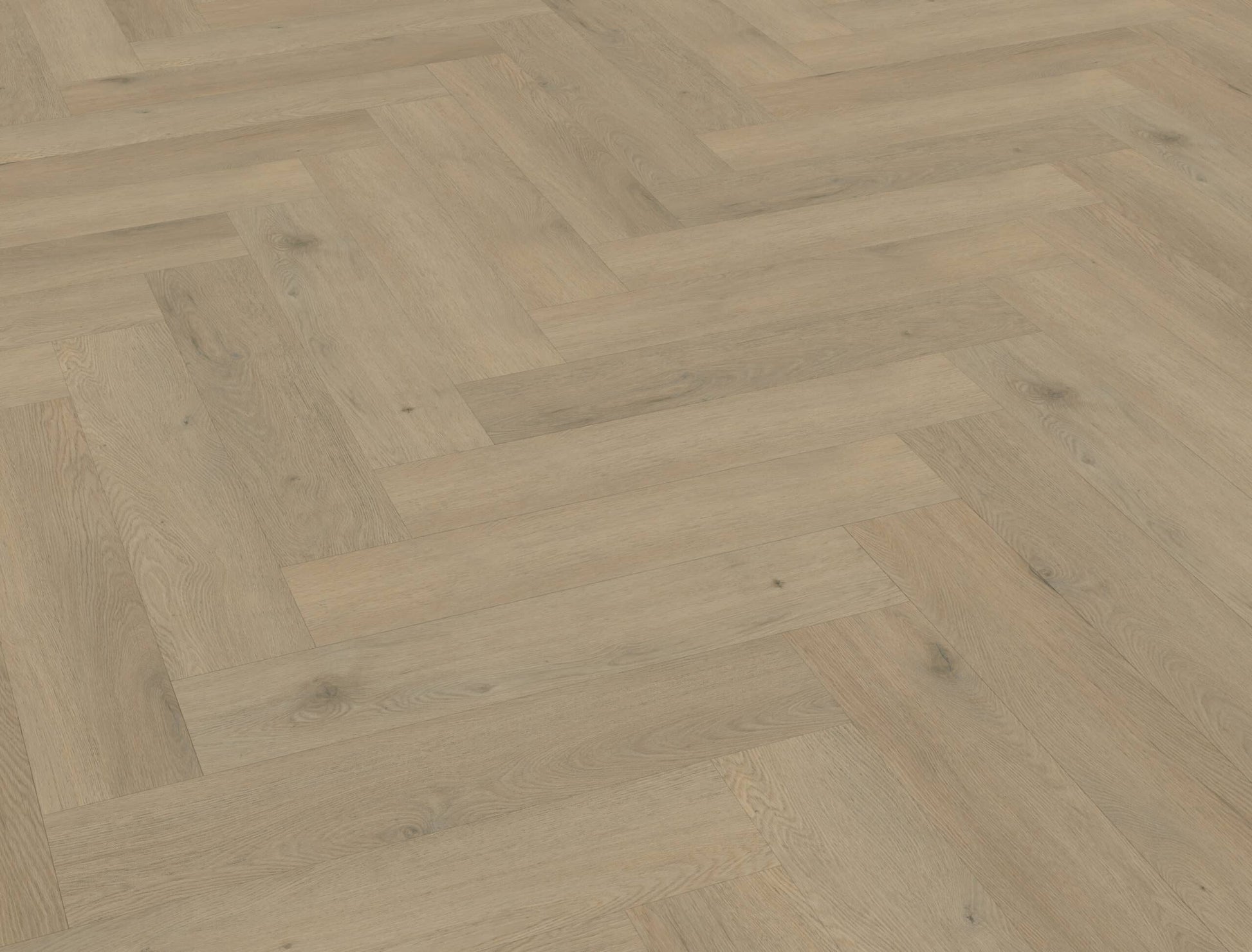 Belakos - Attico visgraat XL 86