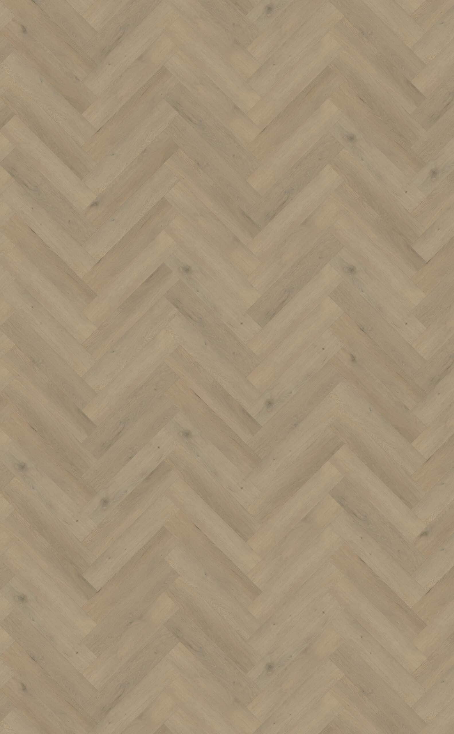 Belakos - Attico visgraat XL 86