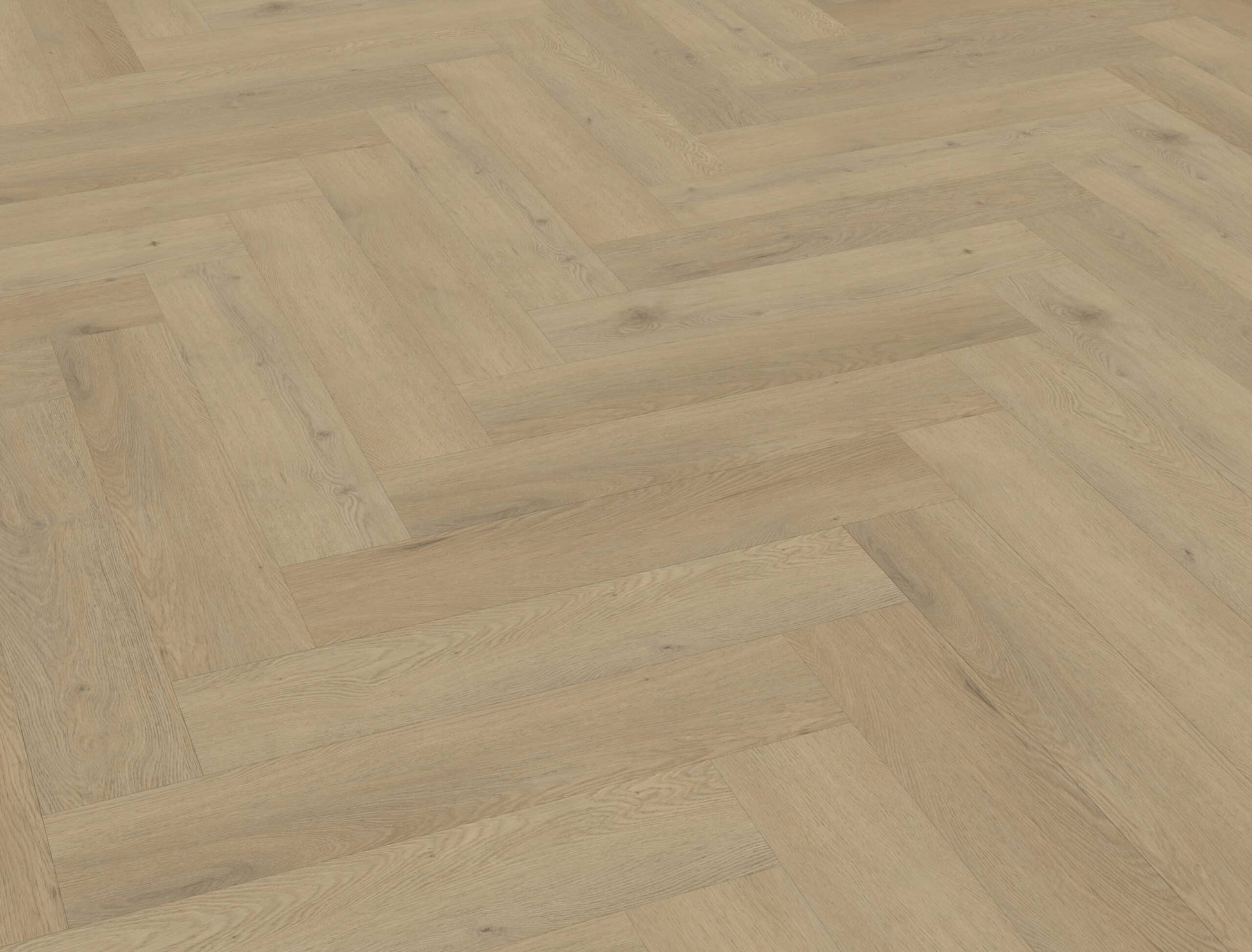 Belakos - Attico visgraat XL 87