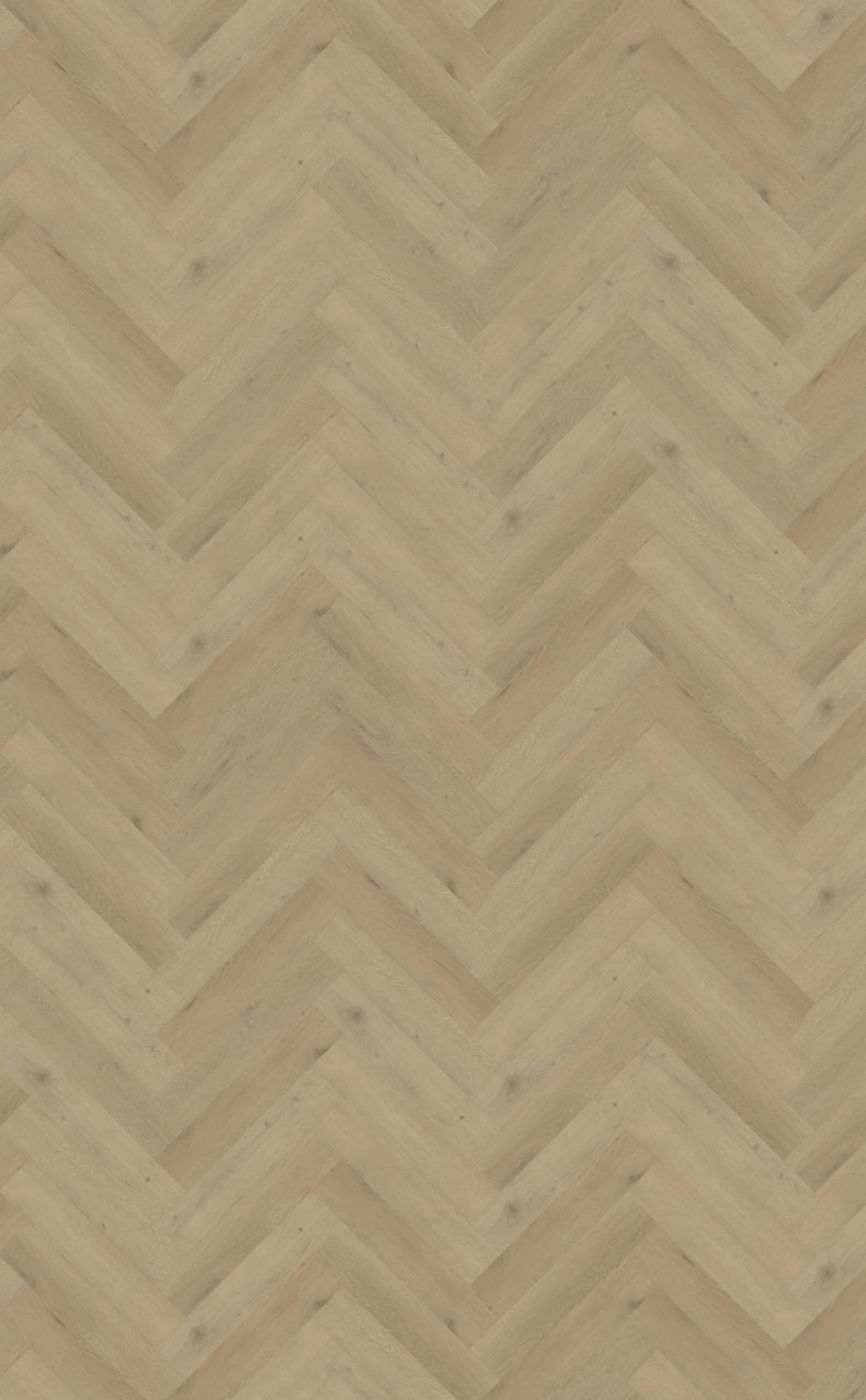 Belakos - Attico visgraat XL 87