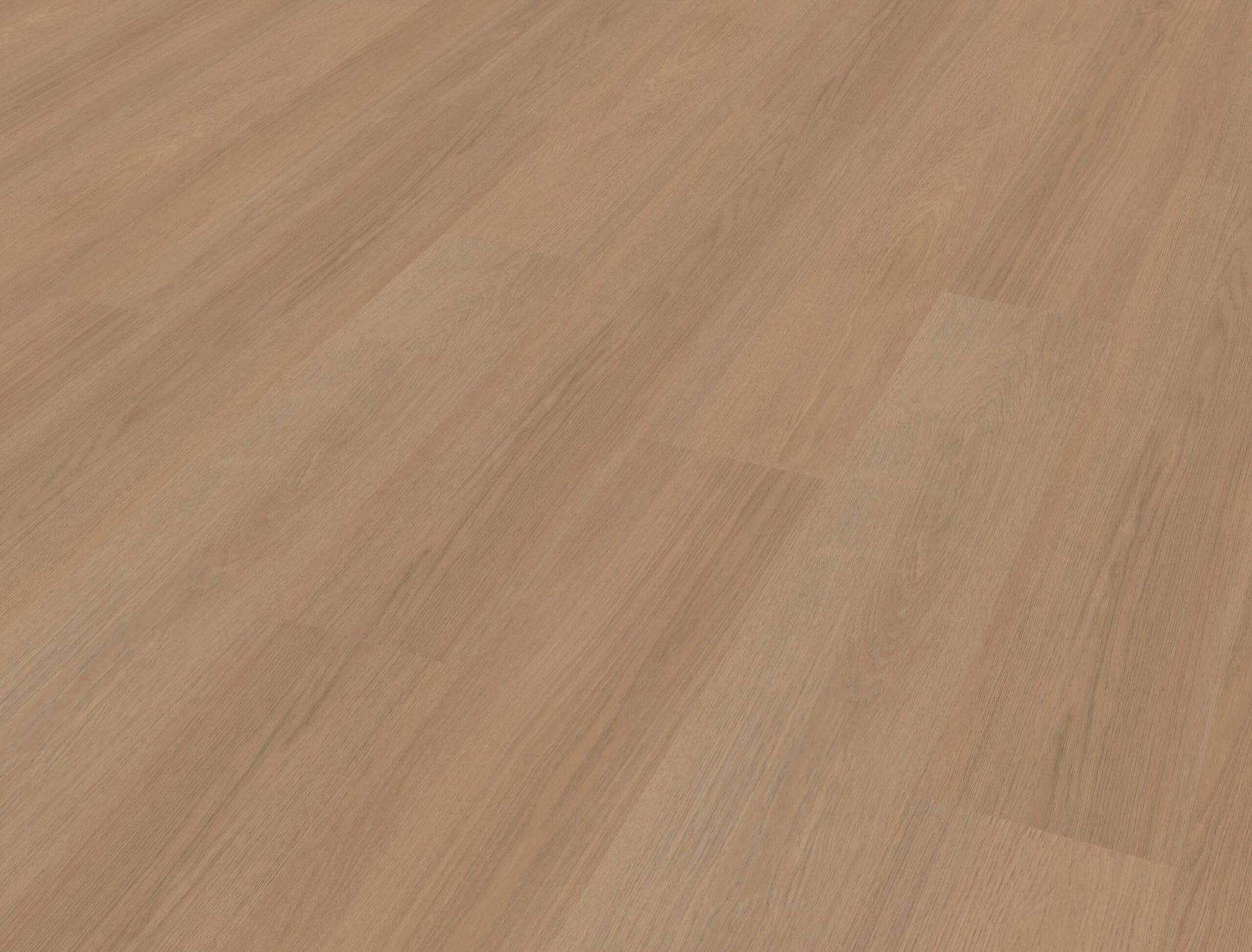 Belakos - Futuro 500