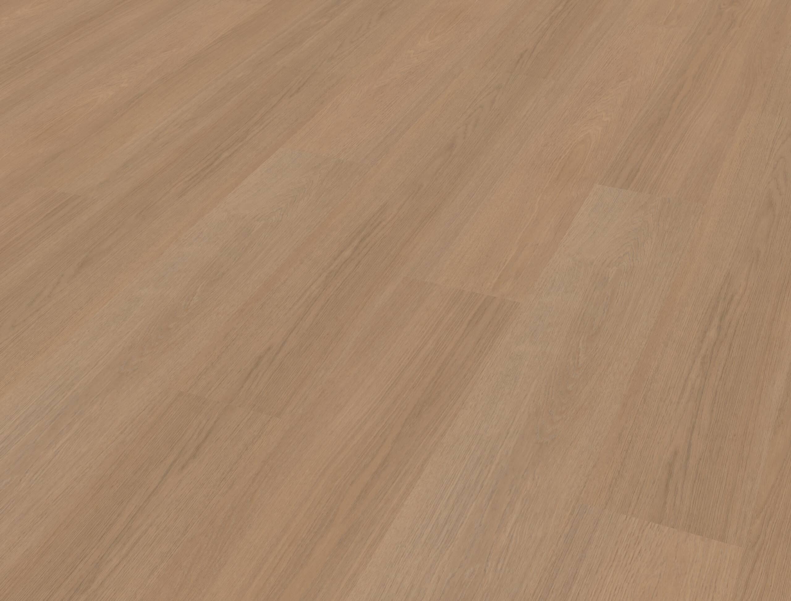 Belakos - Futuro 500 Rigid Click