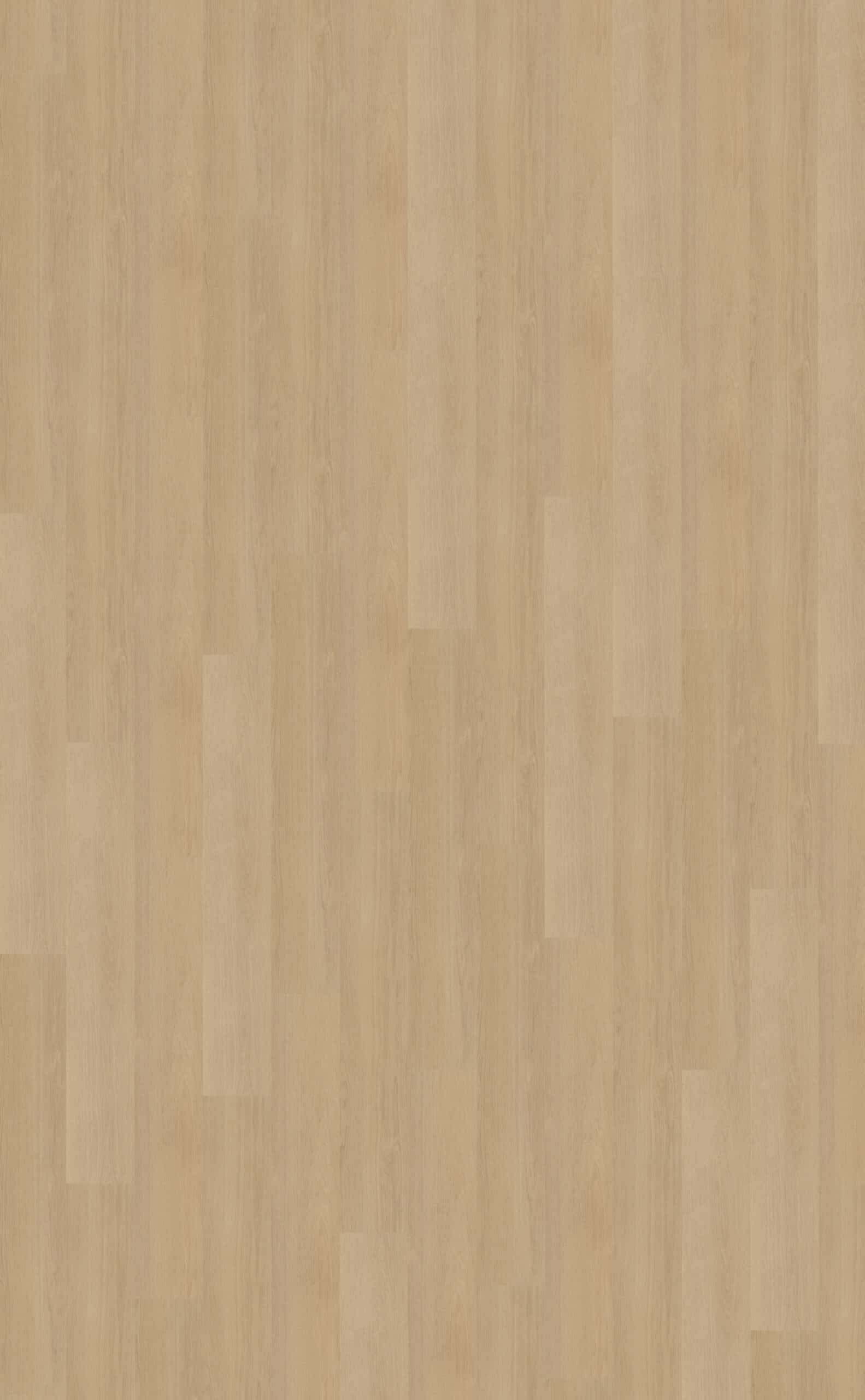 Belakos - Futuro 510