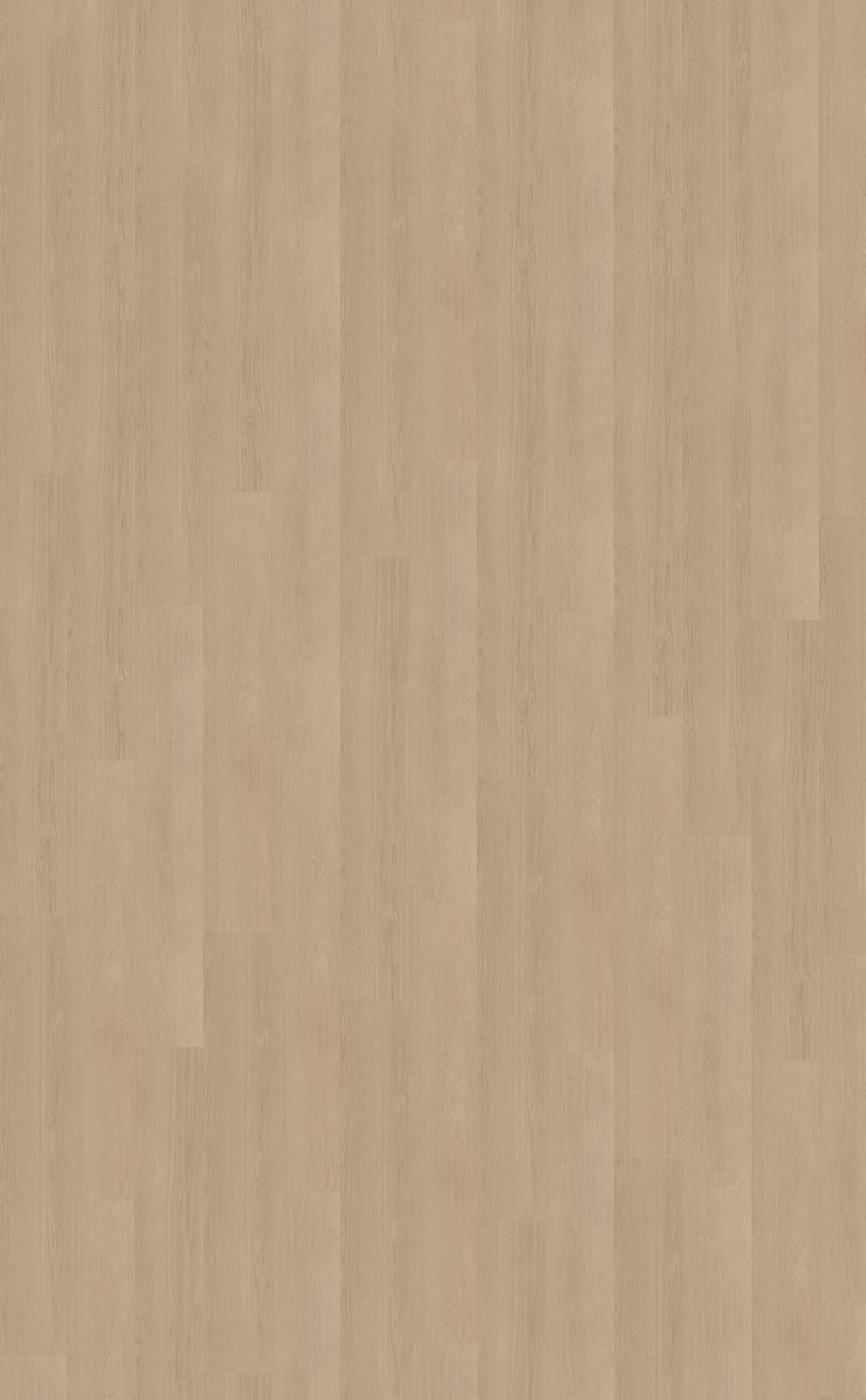 Belakos - Futuro 520 Rigid Click