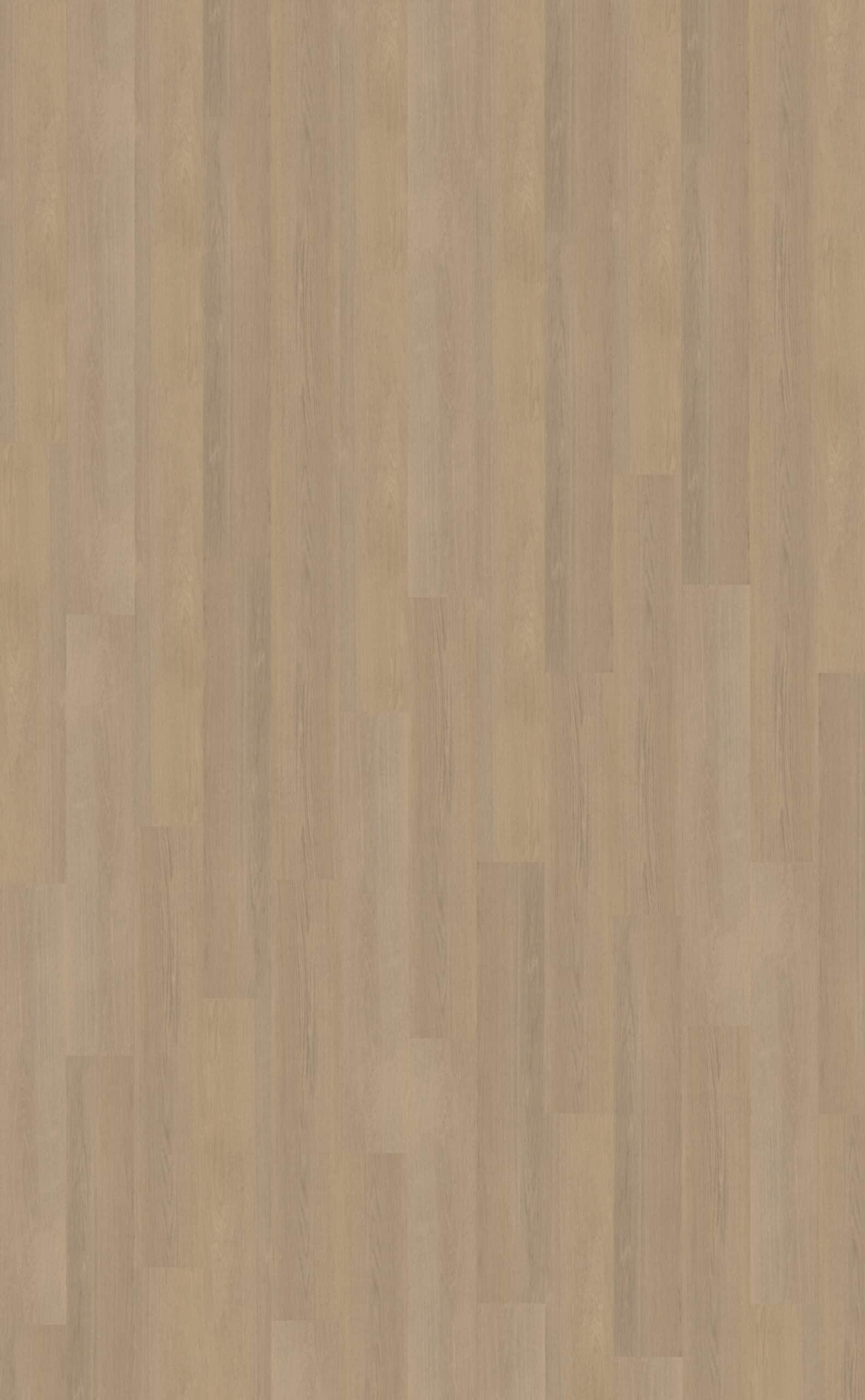 Belakos - Futuro 530