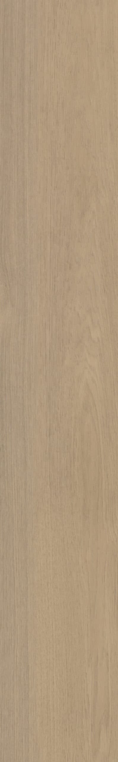 Belakos - Futuro 530 Rigid Click