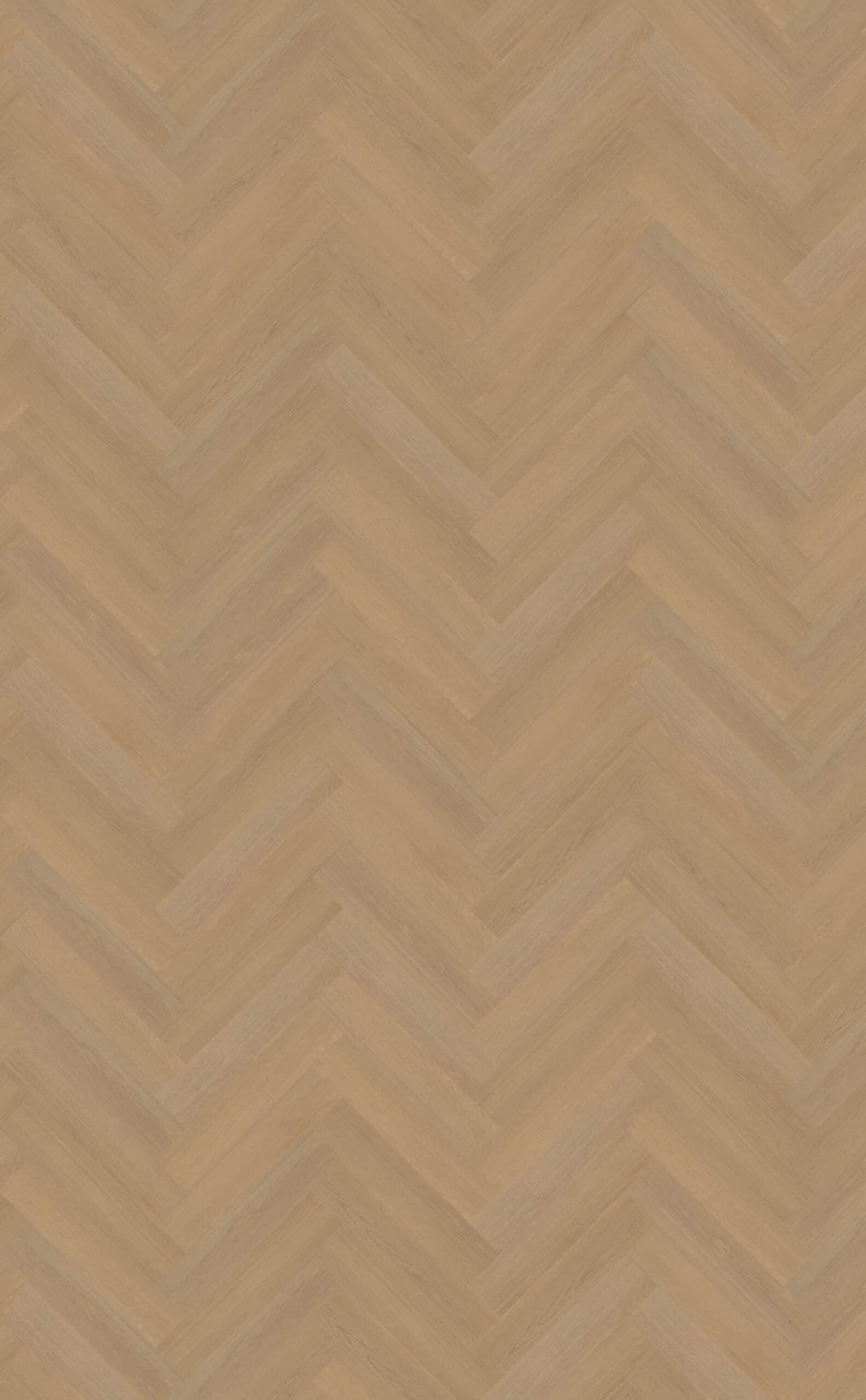 Belakos - Futuro Visgraat XL 50