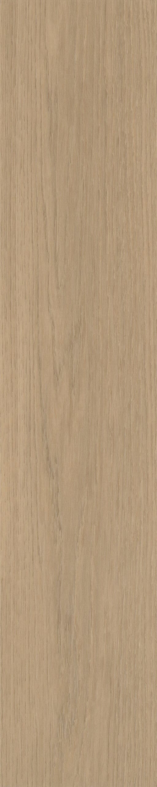 Belakos - Futuro Visgraat 51 Rigid Click