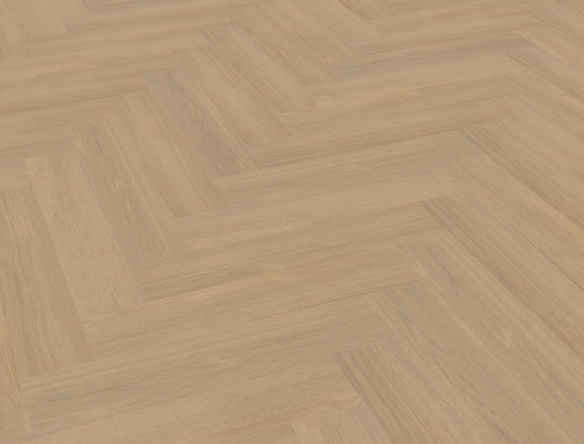 Belakos - Futuro Visgraat 51 Rigid Click