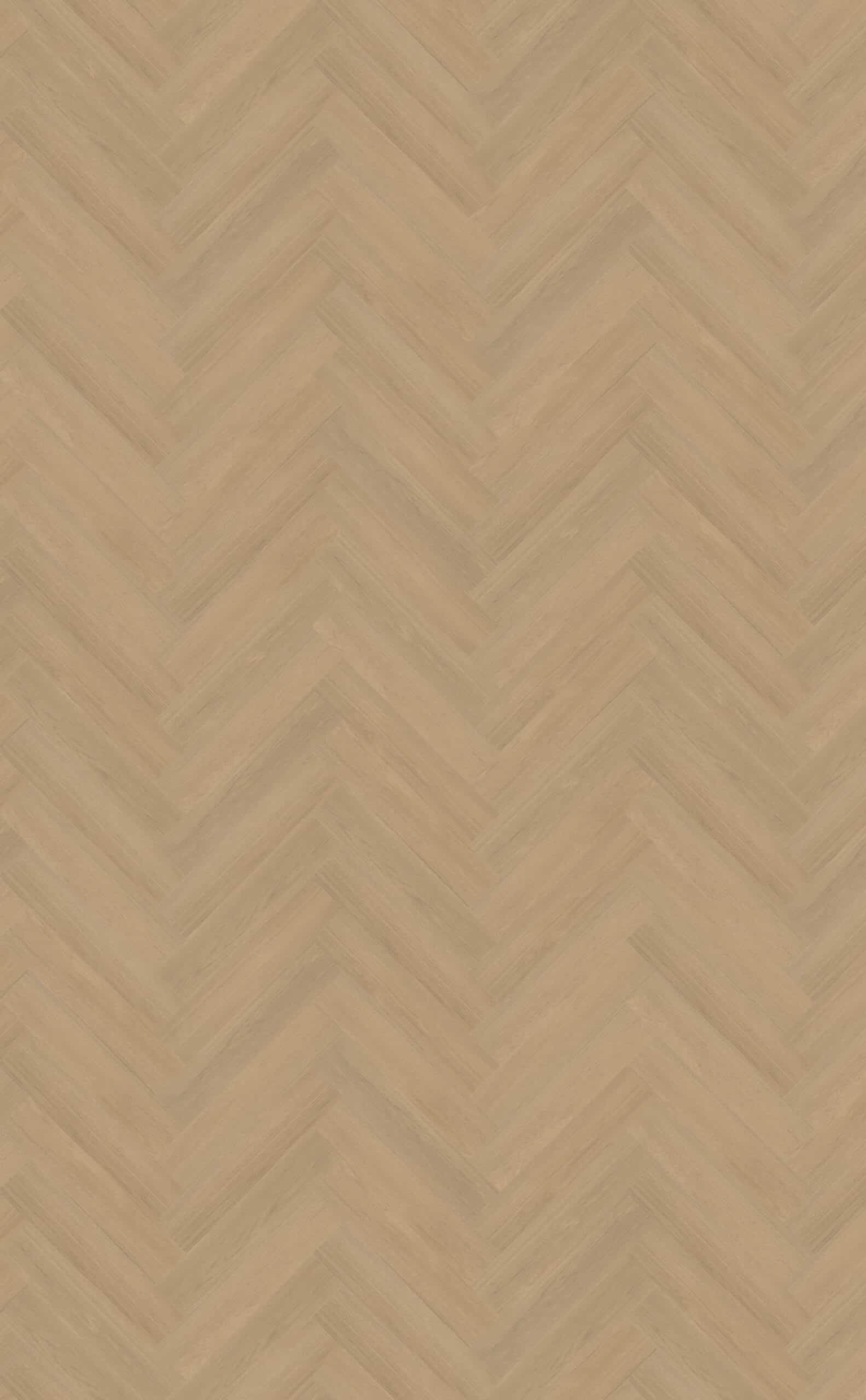 Belakos - Futuro Visgraat XL 51