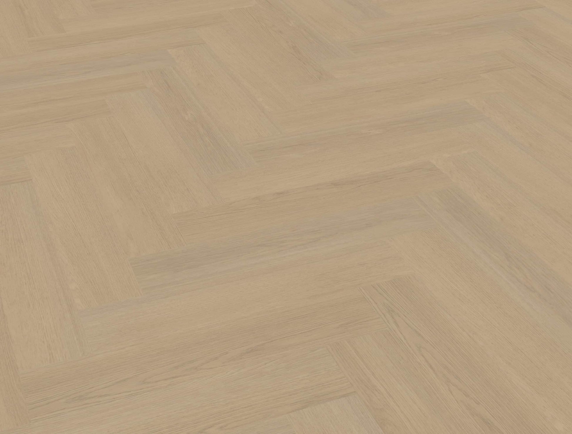 Belakos - Futuro Visgraat 52 Rigid Click