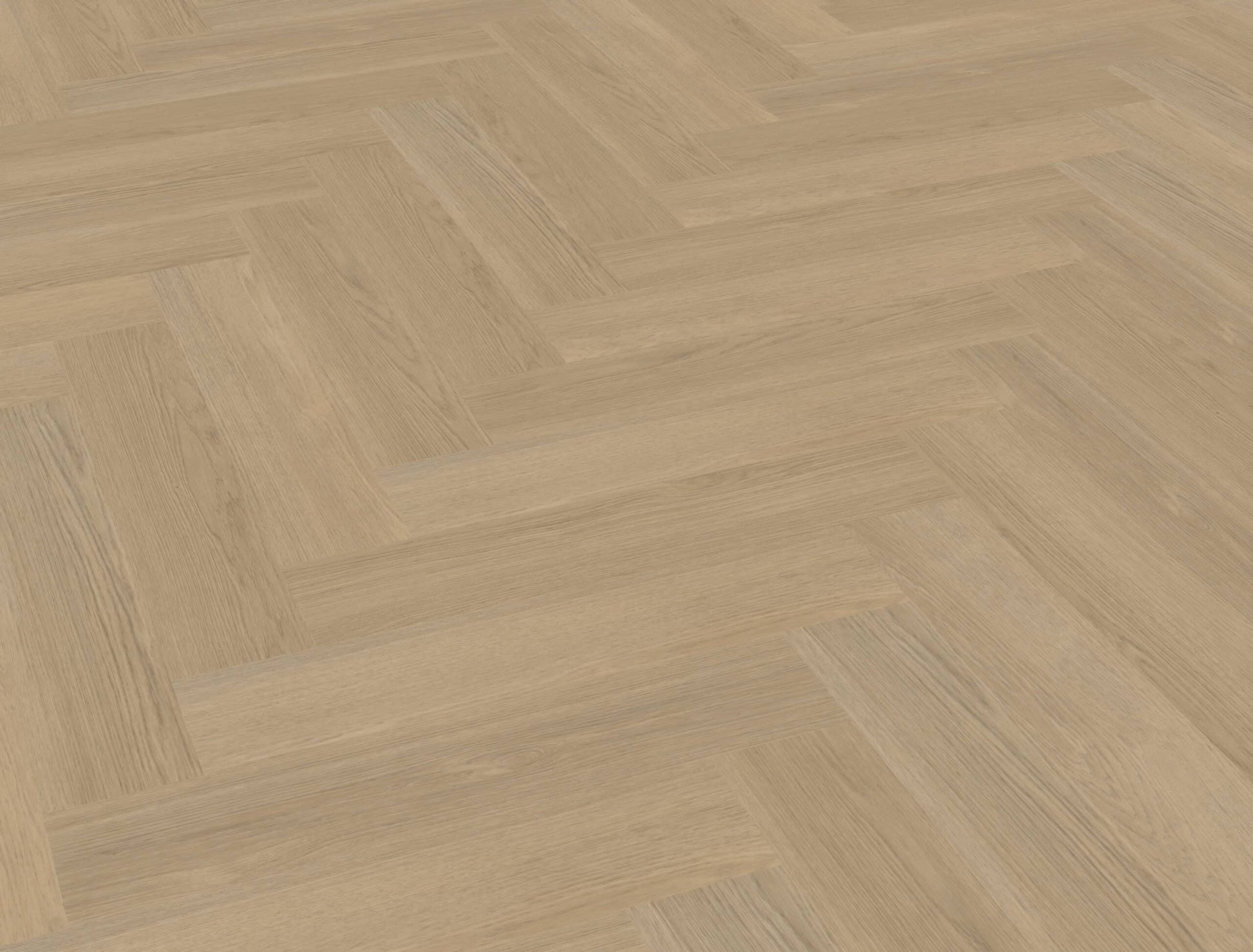 Belakos - Futuro Visgraat 53 Rigid Click