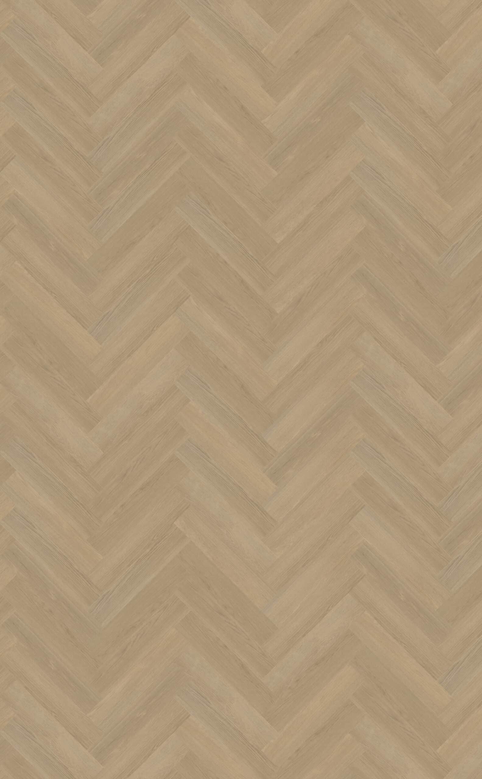 Belakos - Futuro Visgraat 53 Rigid Click