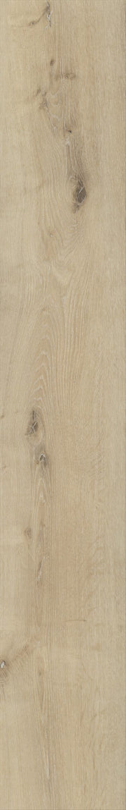 Belakos - Palazzo 150