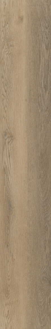 Belakos - Palazzo 250