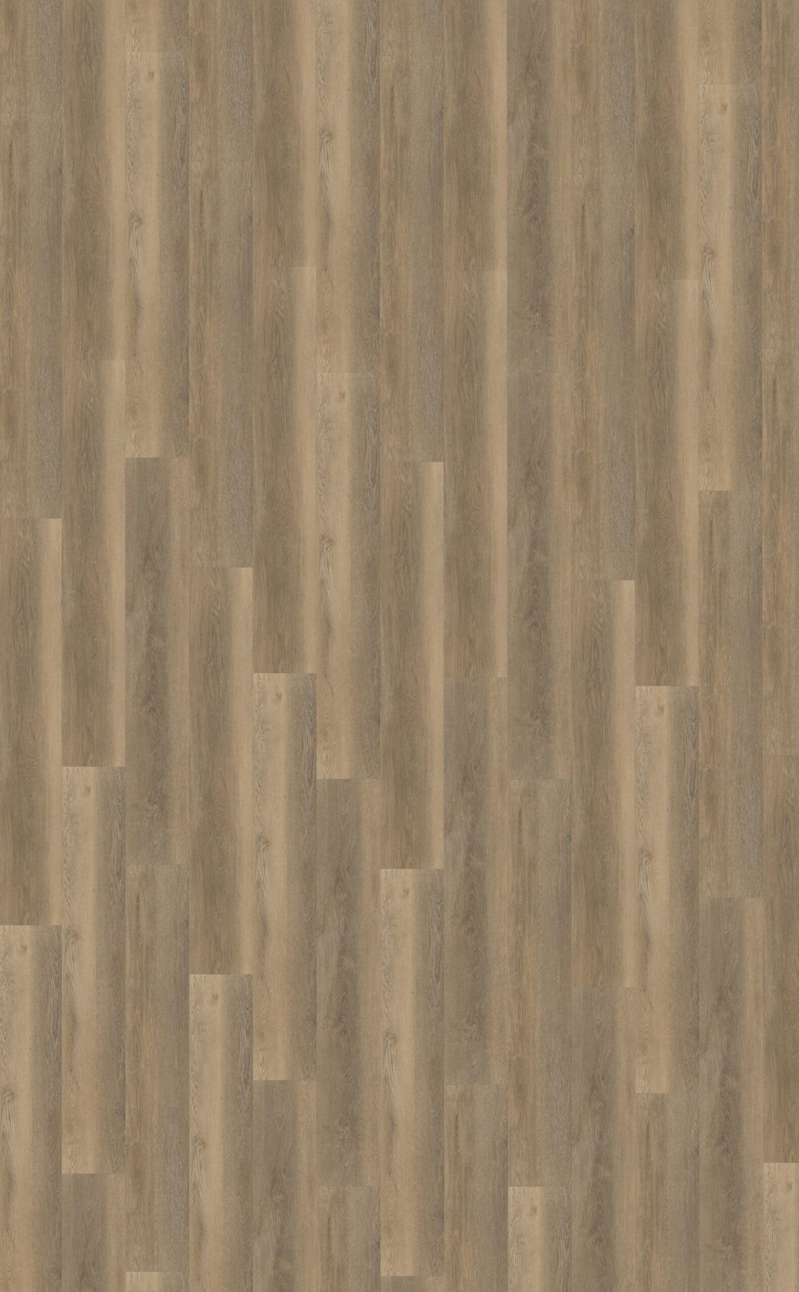 Belakos - Palazzo 250