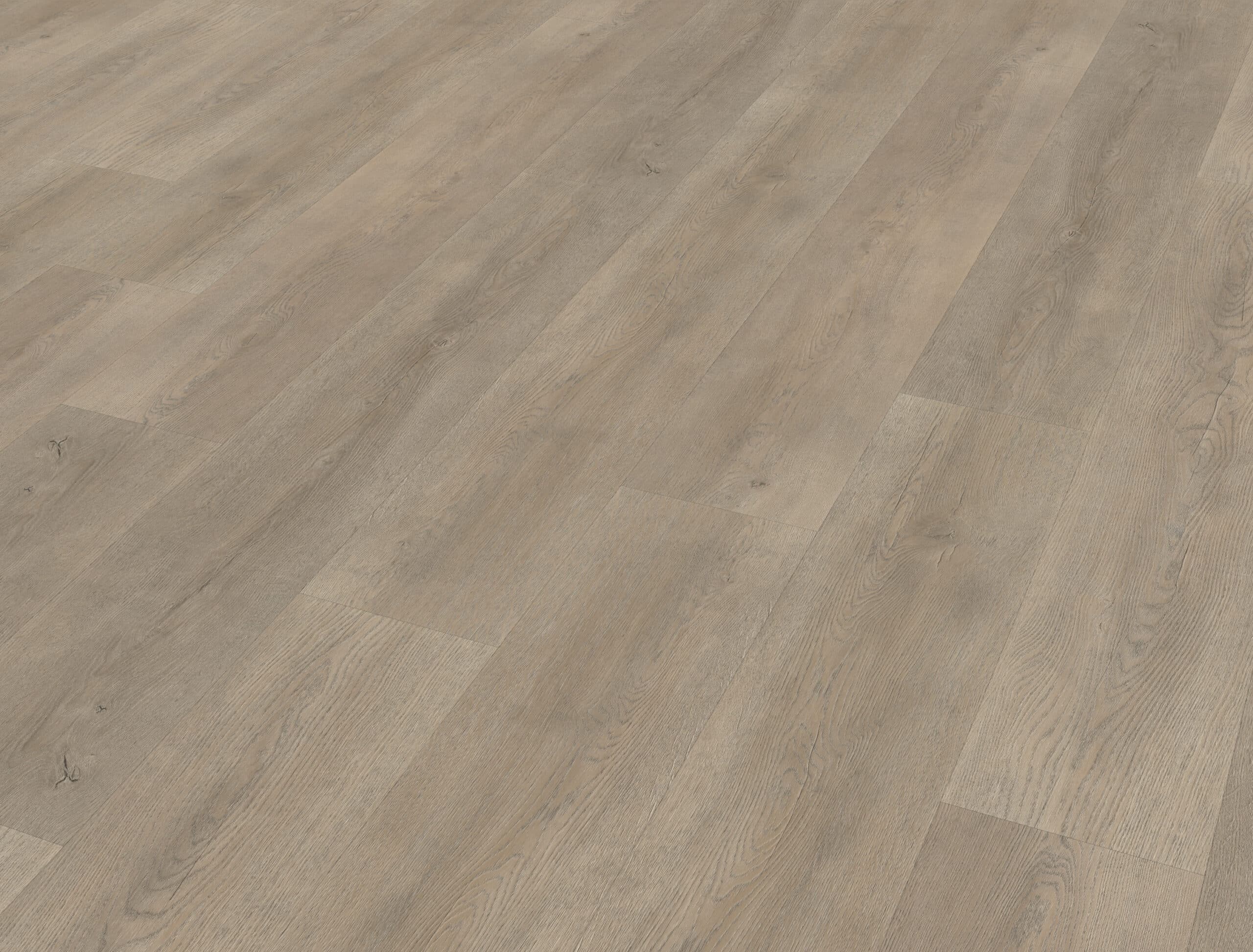 Belakos - Palazzo 700