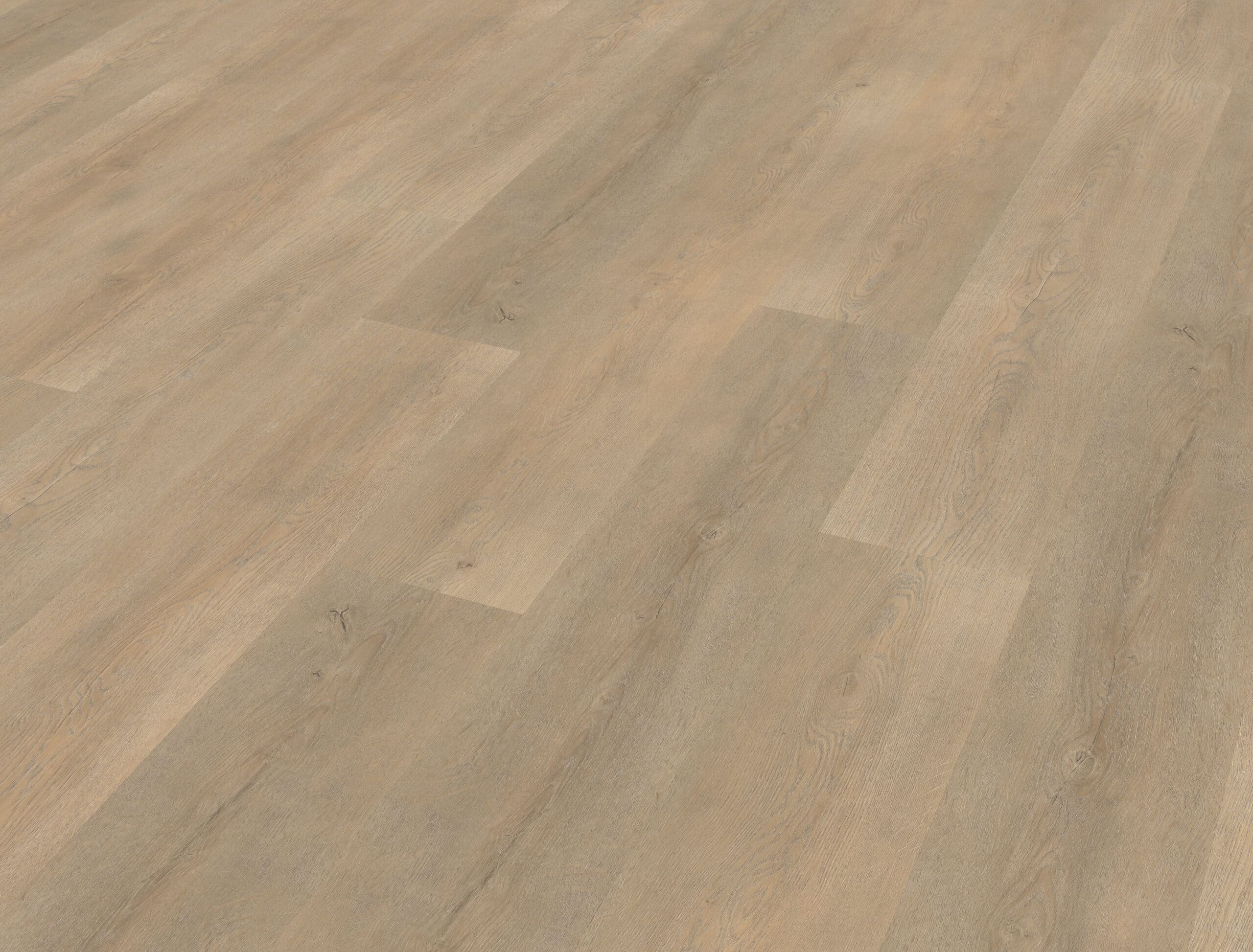 Belakos - Palazzo 710