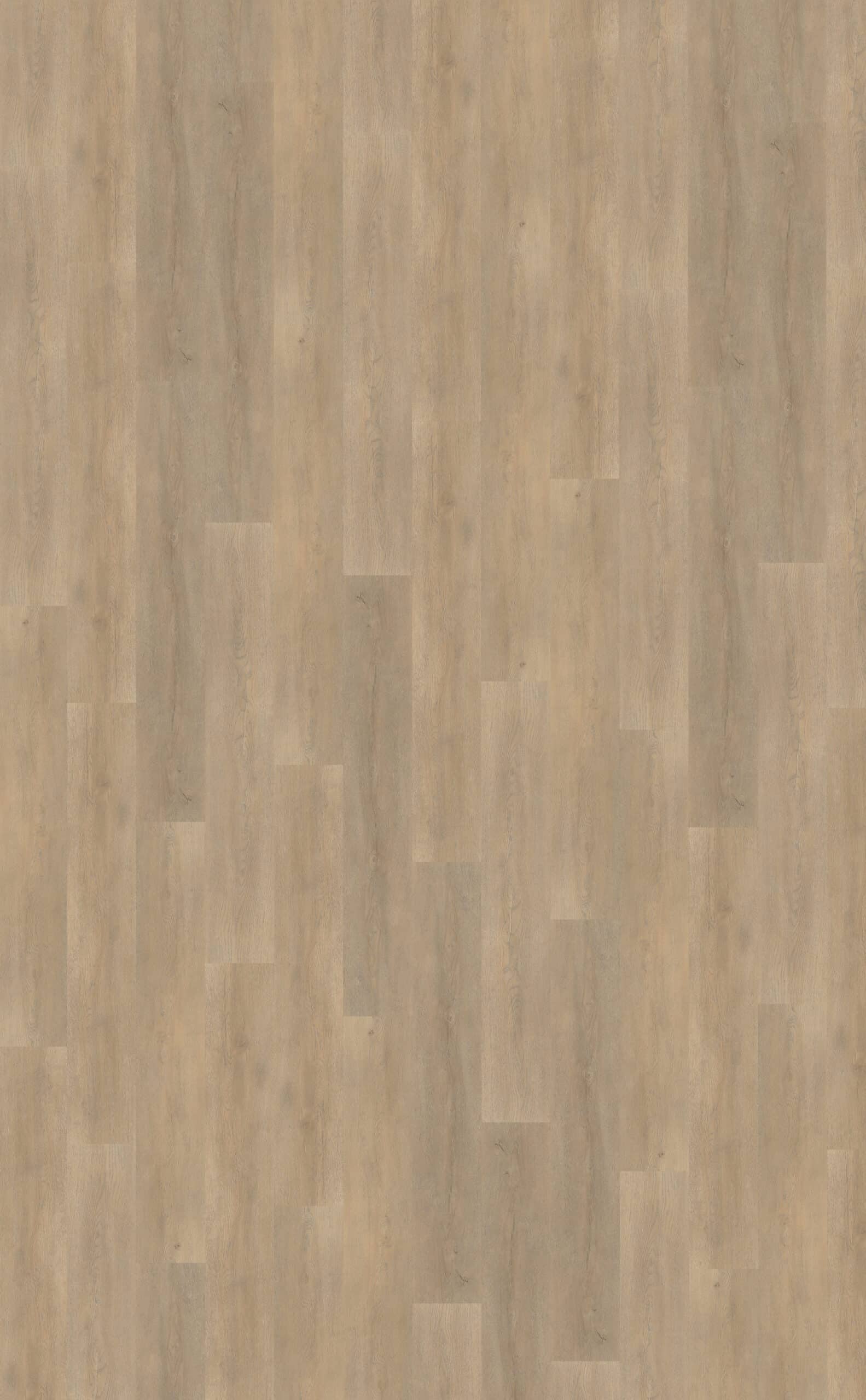 Belakos - Palazzo 710