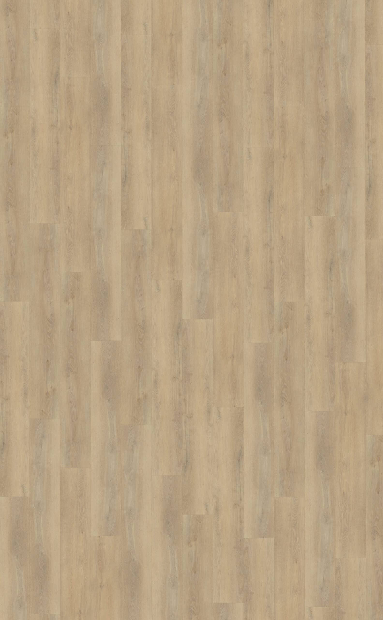 Belakos - Palazzo 720