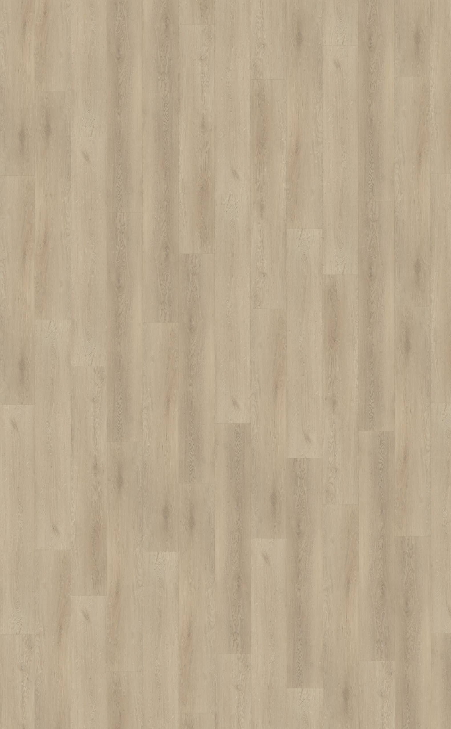 Belakos - Palazzo 730