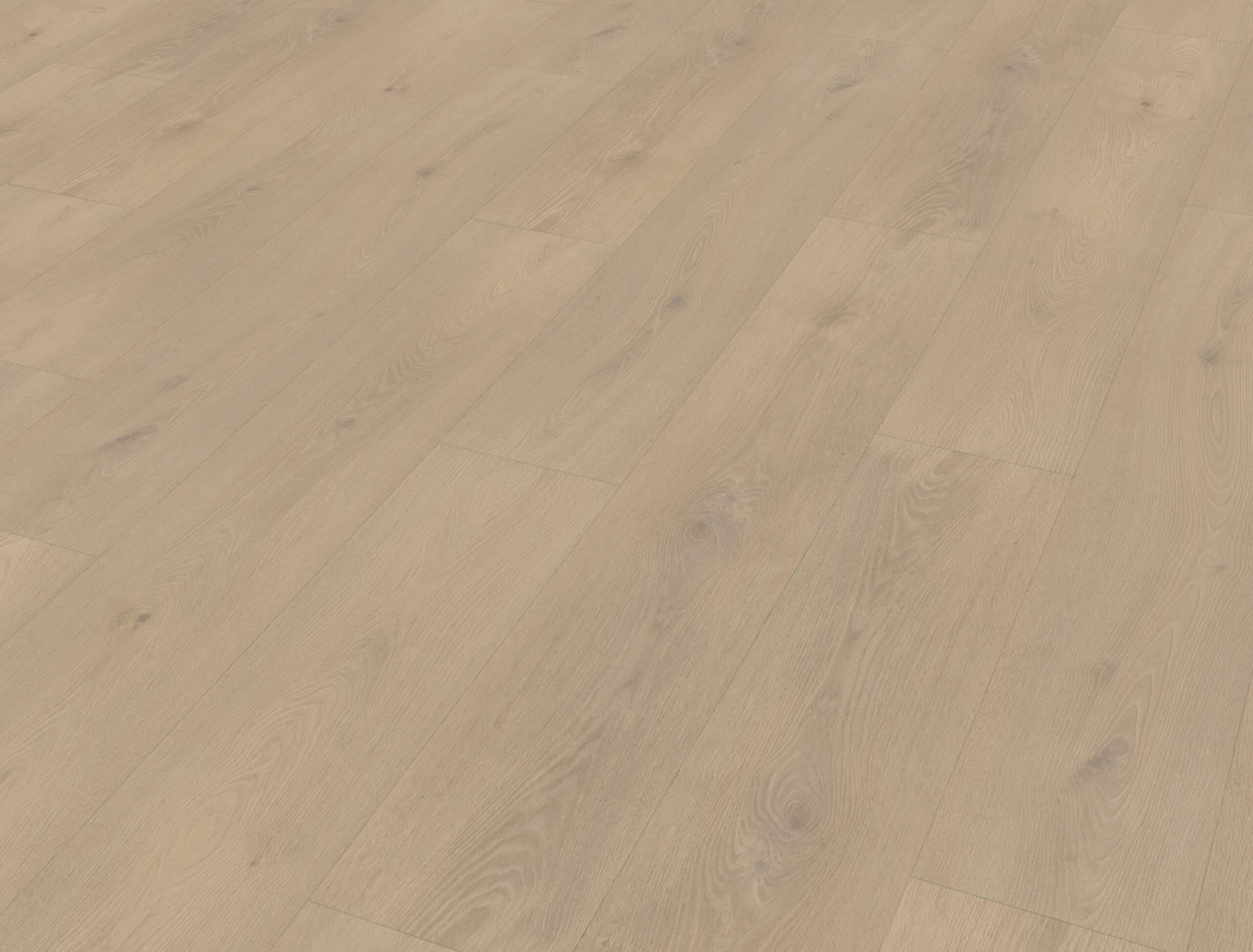 Belakos - Palazzo 740