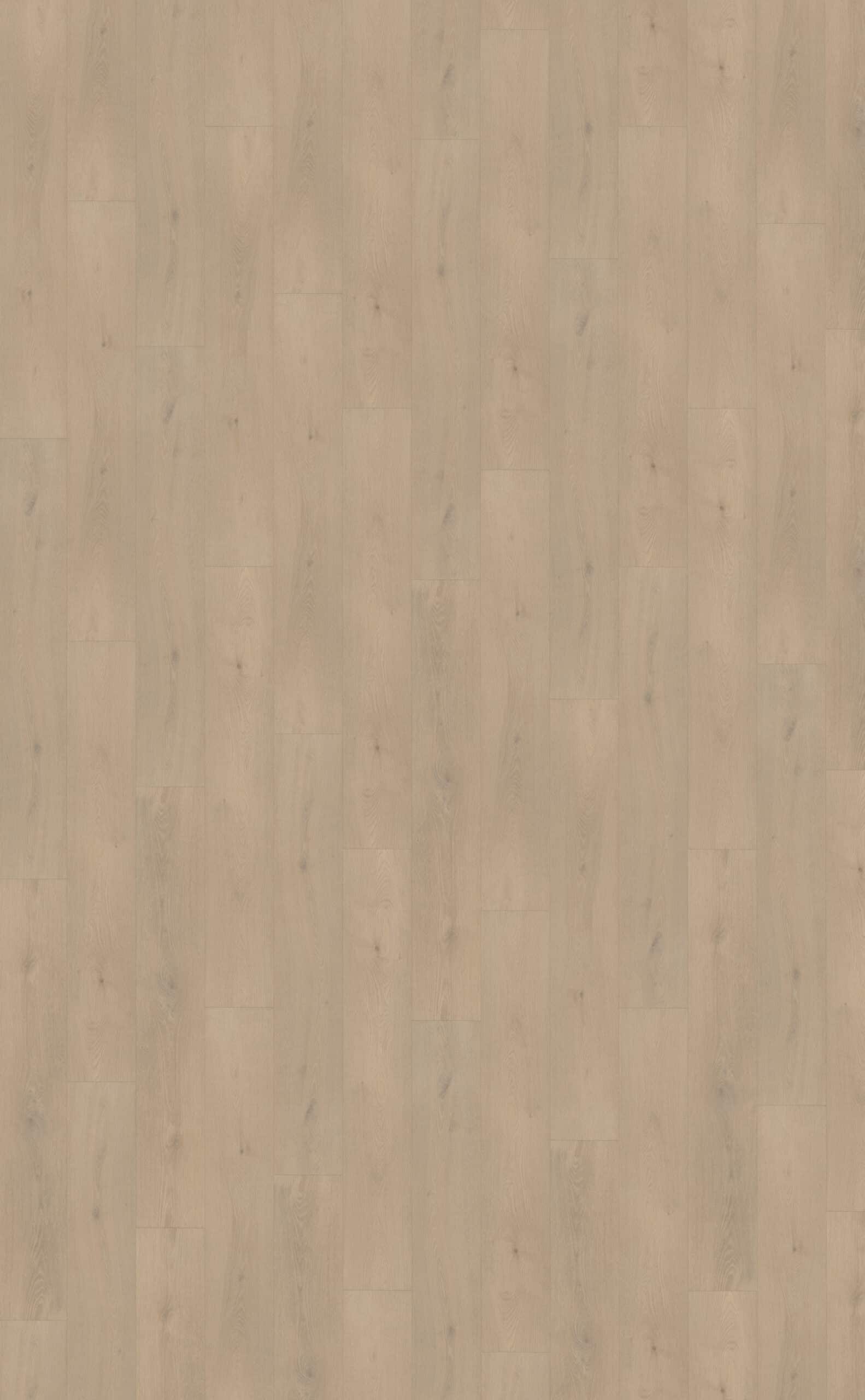 Belakos - Palazzo 740