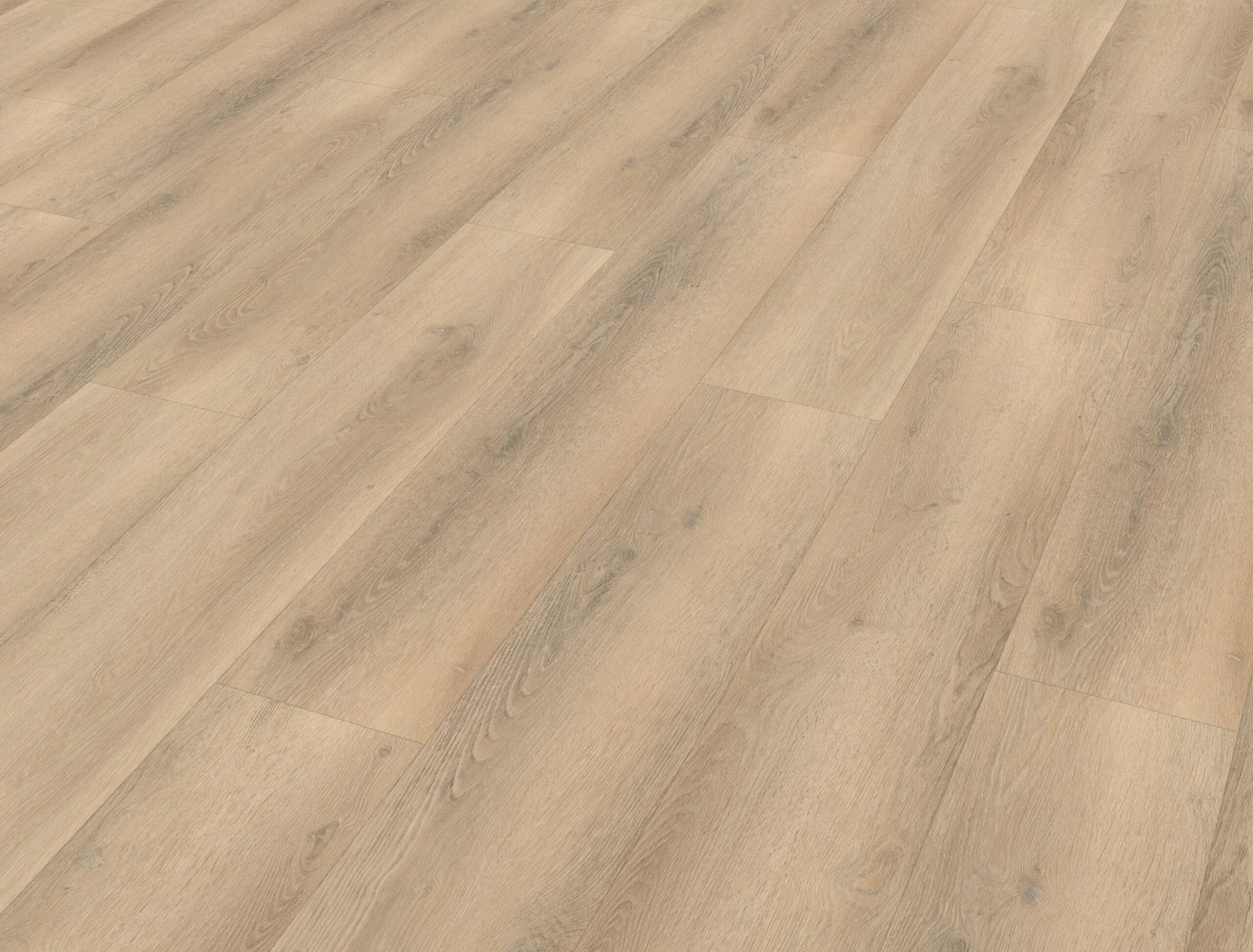 Belakos - Palazzo 750