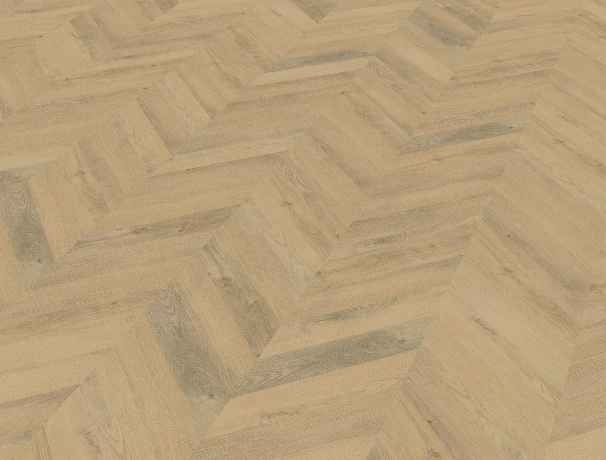 Belakos - Palazzo Hongaarse punt 72