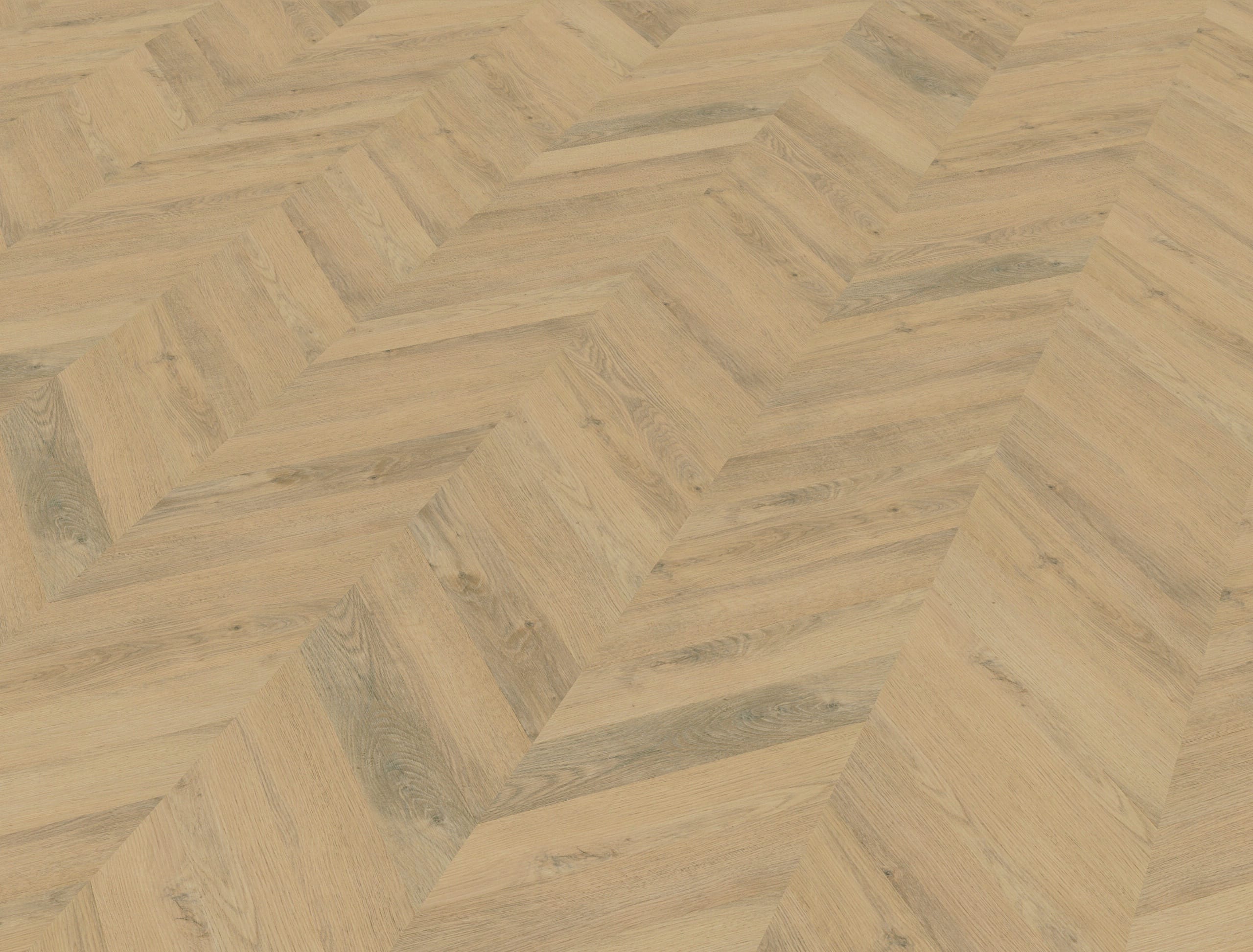 Belakos - Palazzo Hongaarse punt 72