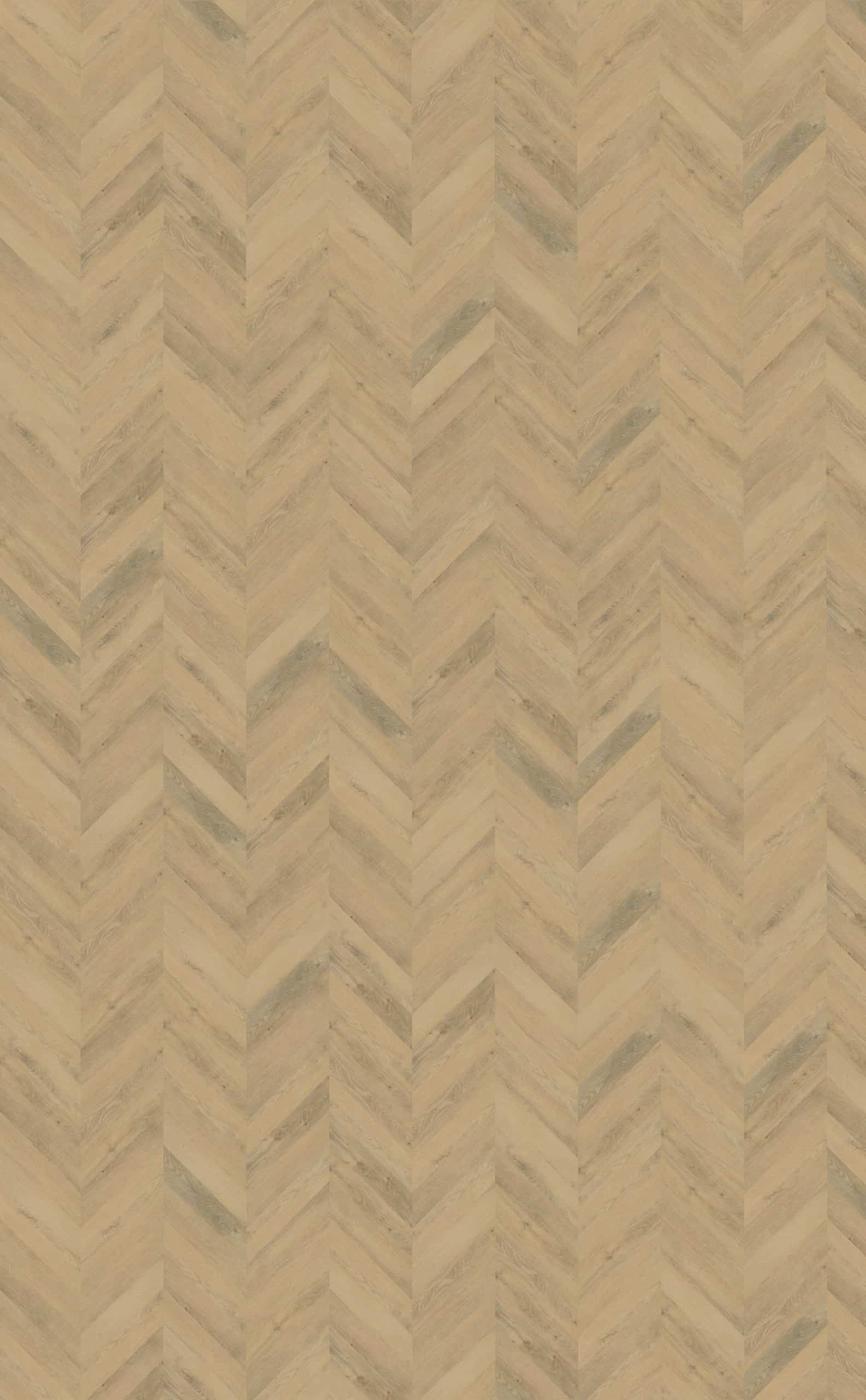 Belakos - Palazzo Hongaarse punt 72