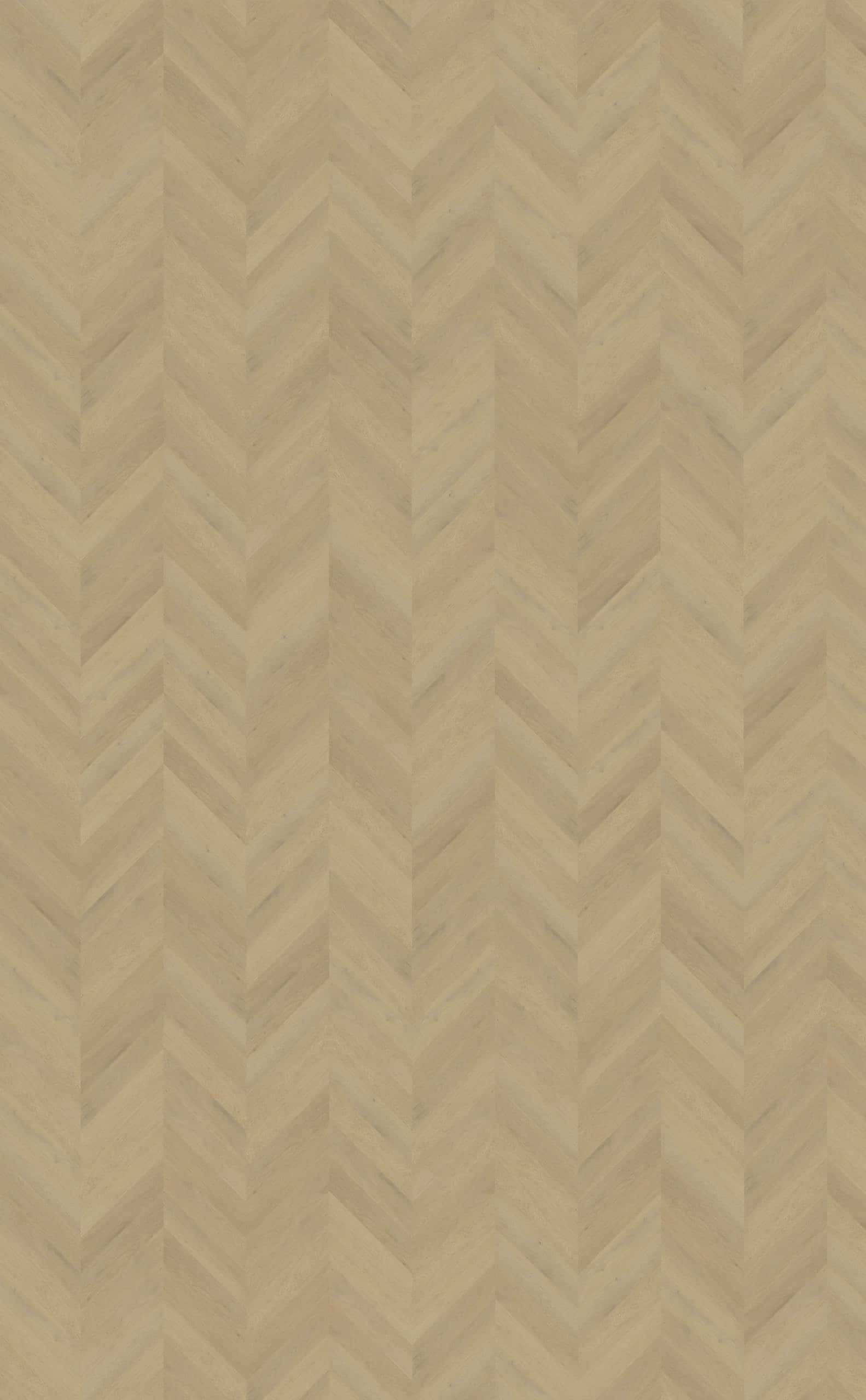 Belakos - Palazzo Hongaarse punt 77