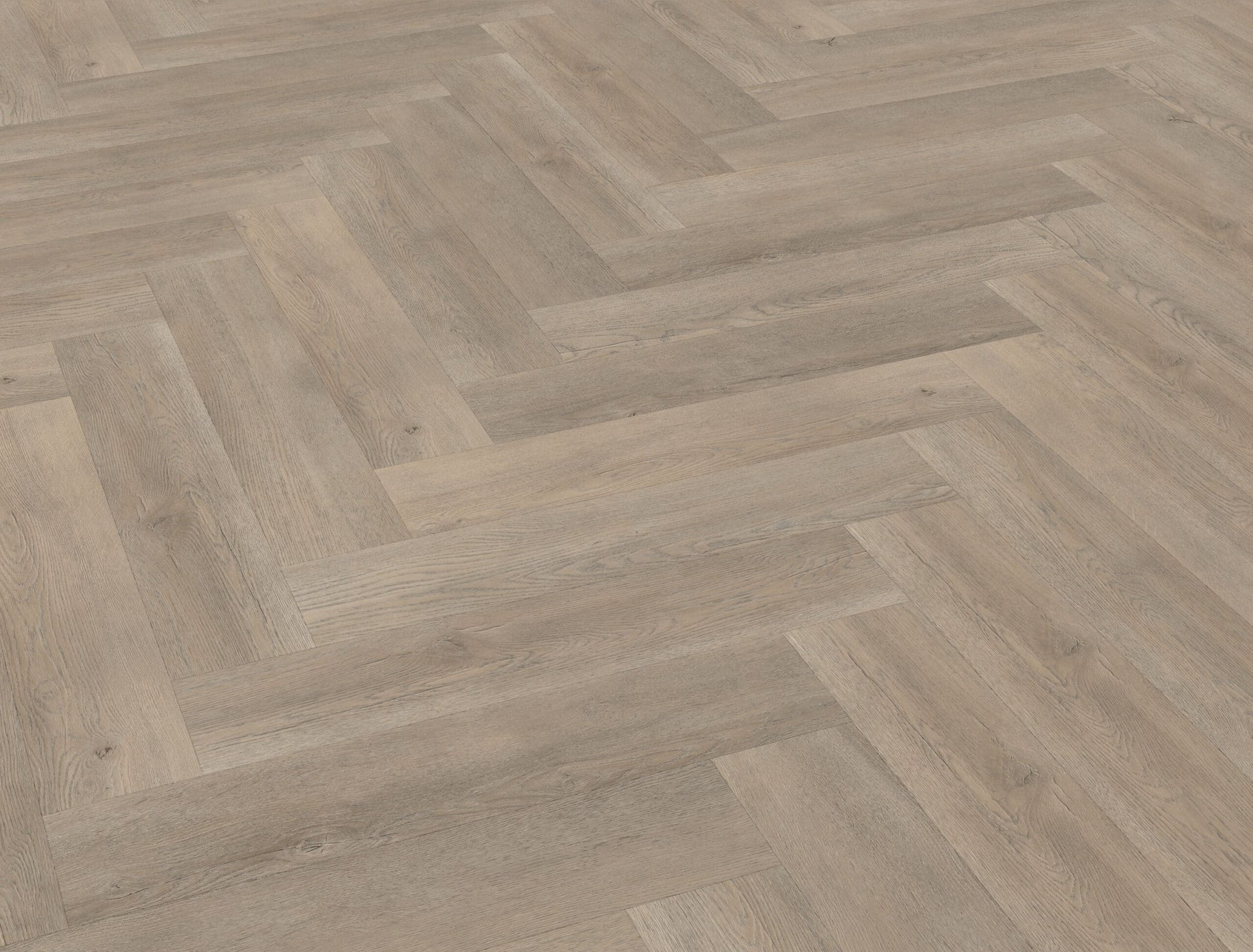 Belakos - Palazzo visgraat XL 70